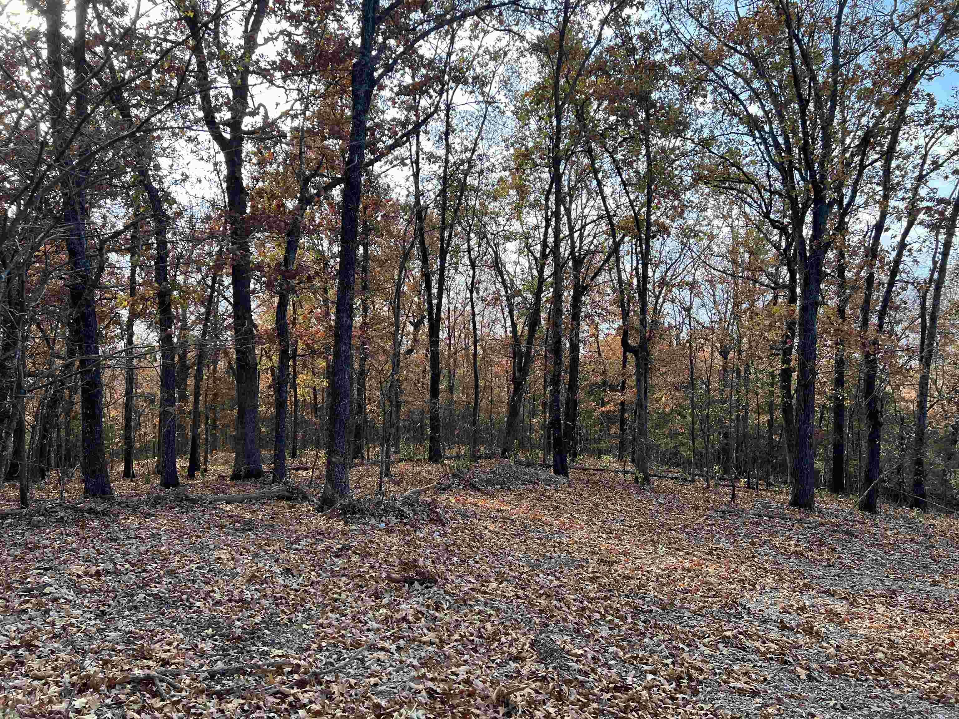 10.14 AC  Jackson  Omaha, AR