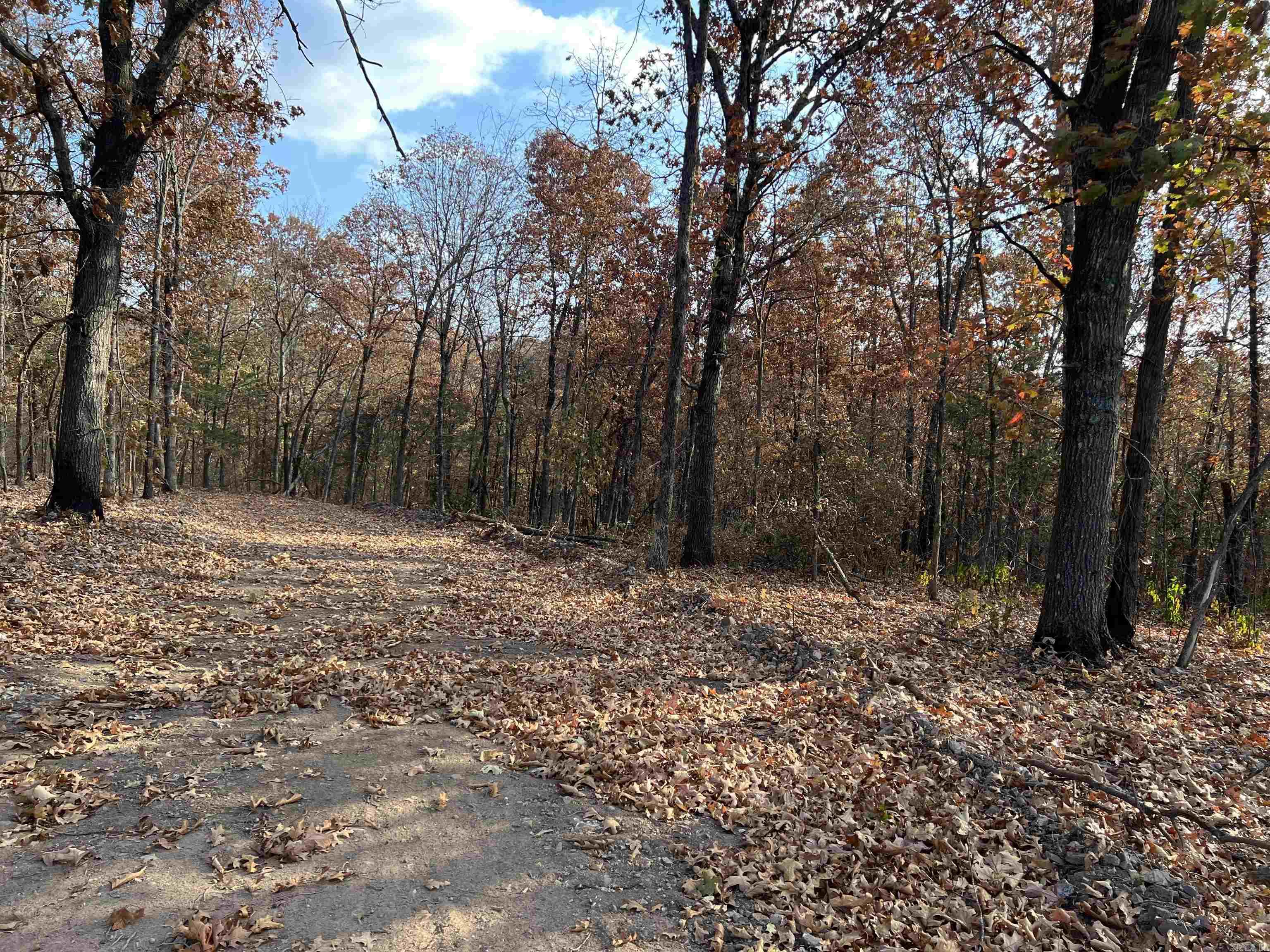 10.14 AC  Jackson  Omaha, AR