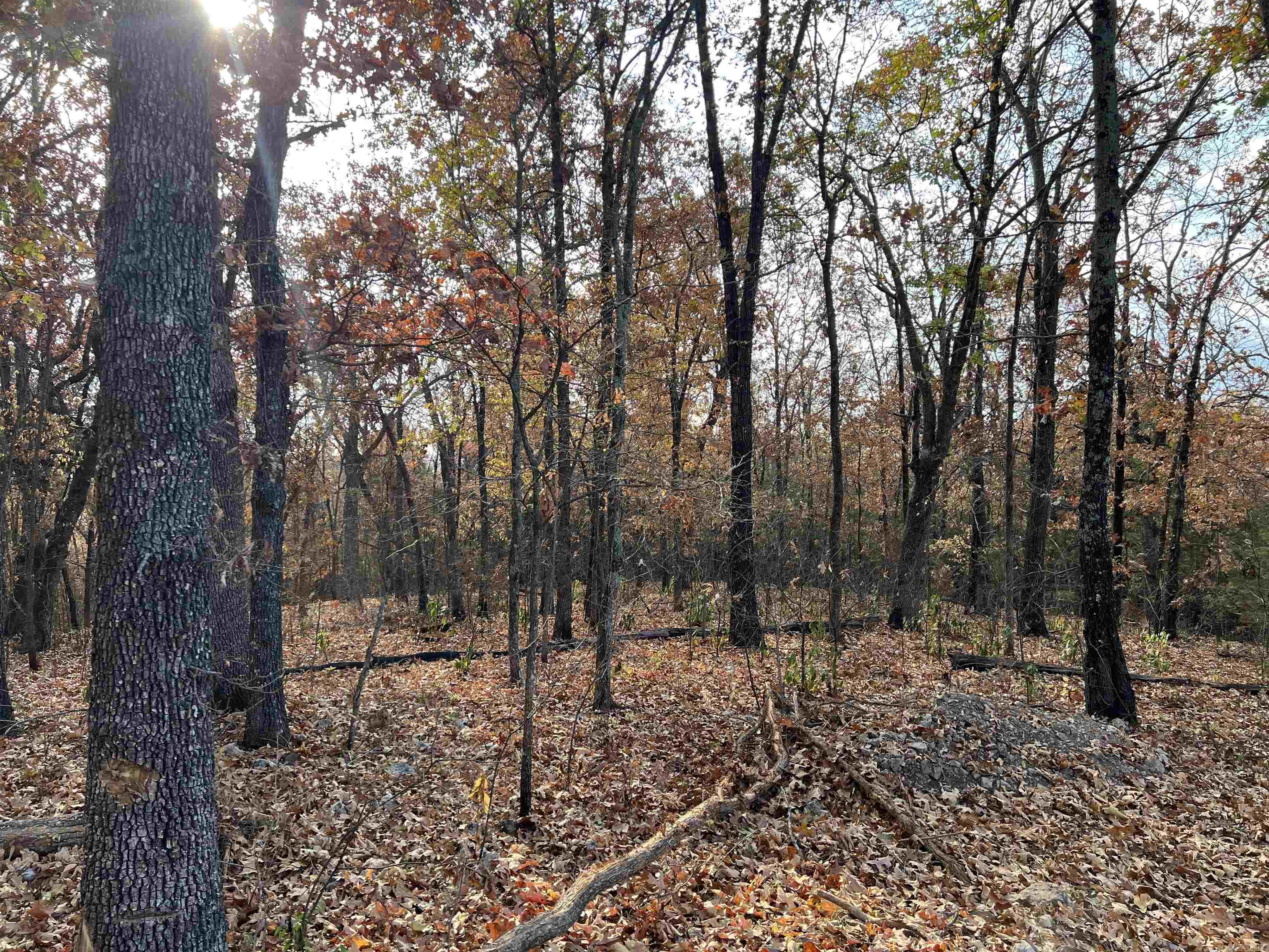 10.14 AC  Jackson  Omaha, AR