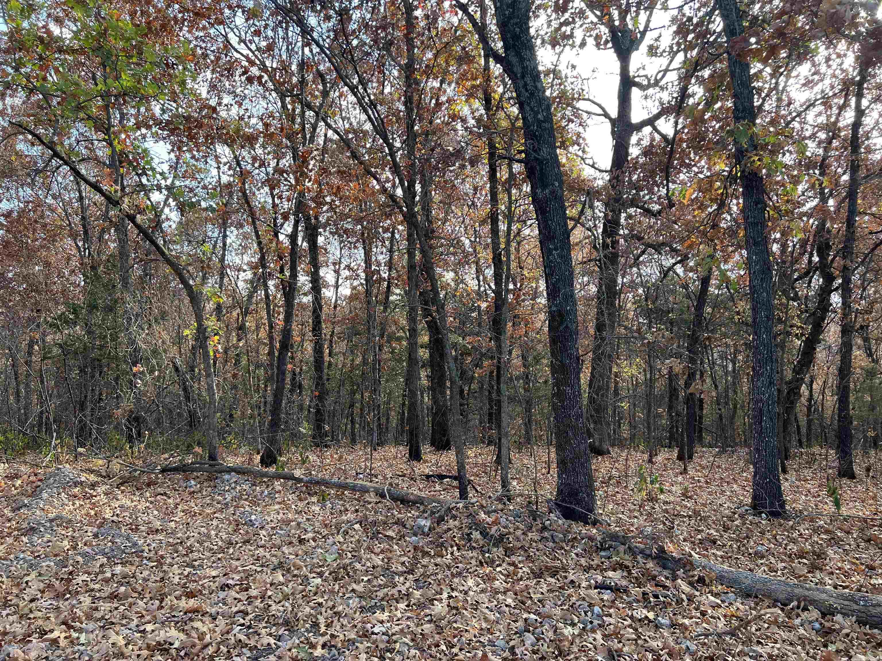 10.14 AC  Jackson  Omaha, AR