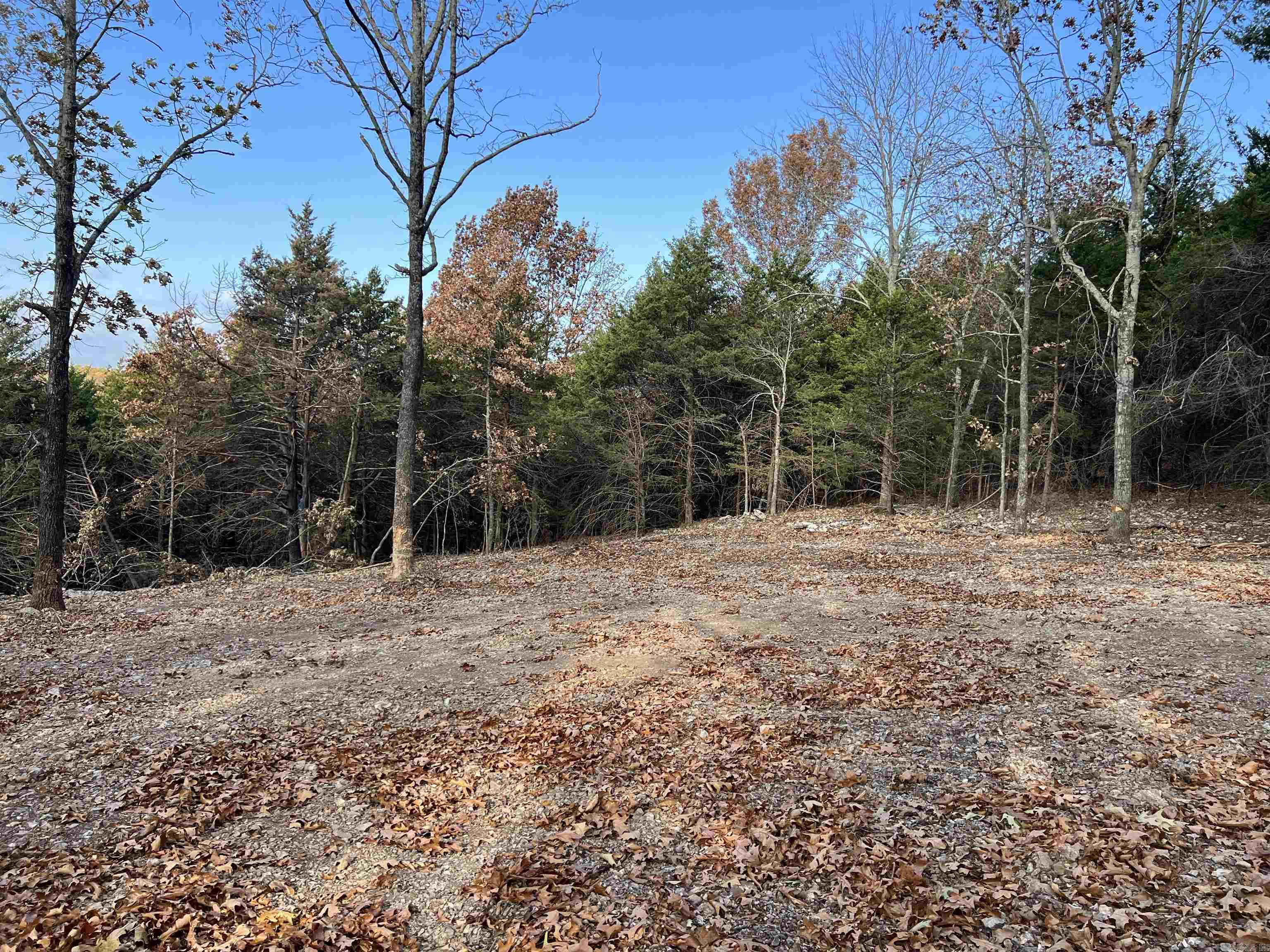 10.14 AC  Jackson  Omaha, AR