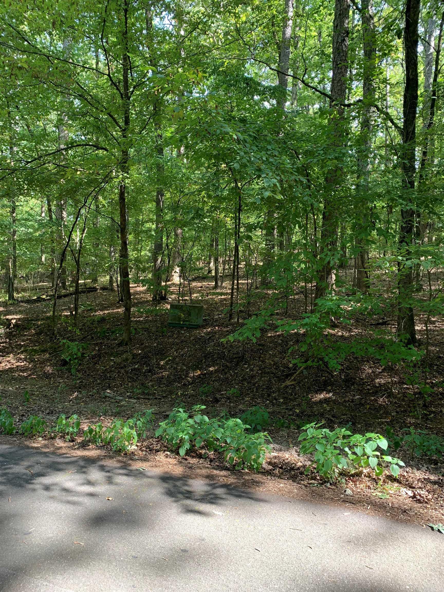 44  Sabiote Way  Hot Springs Village, AR