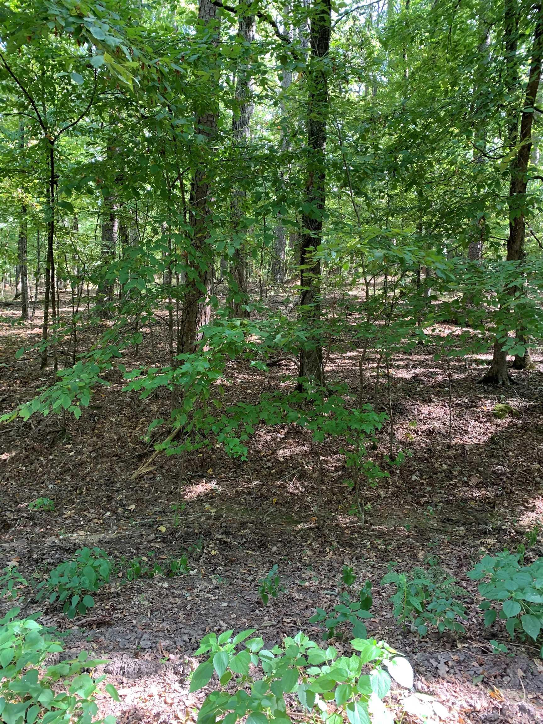 44  Sabiote Way  Hot Springs Village, AR