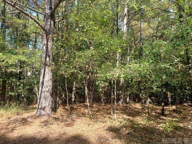 32  Segador Way  Hot Springs Village, AR