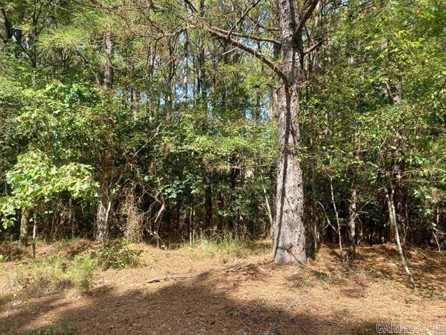 32  Segador Way  Hot Springs Village, AR