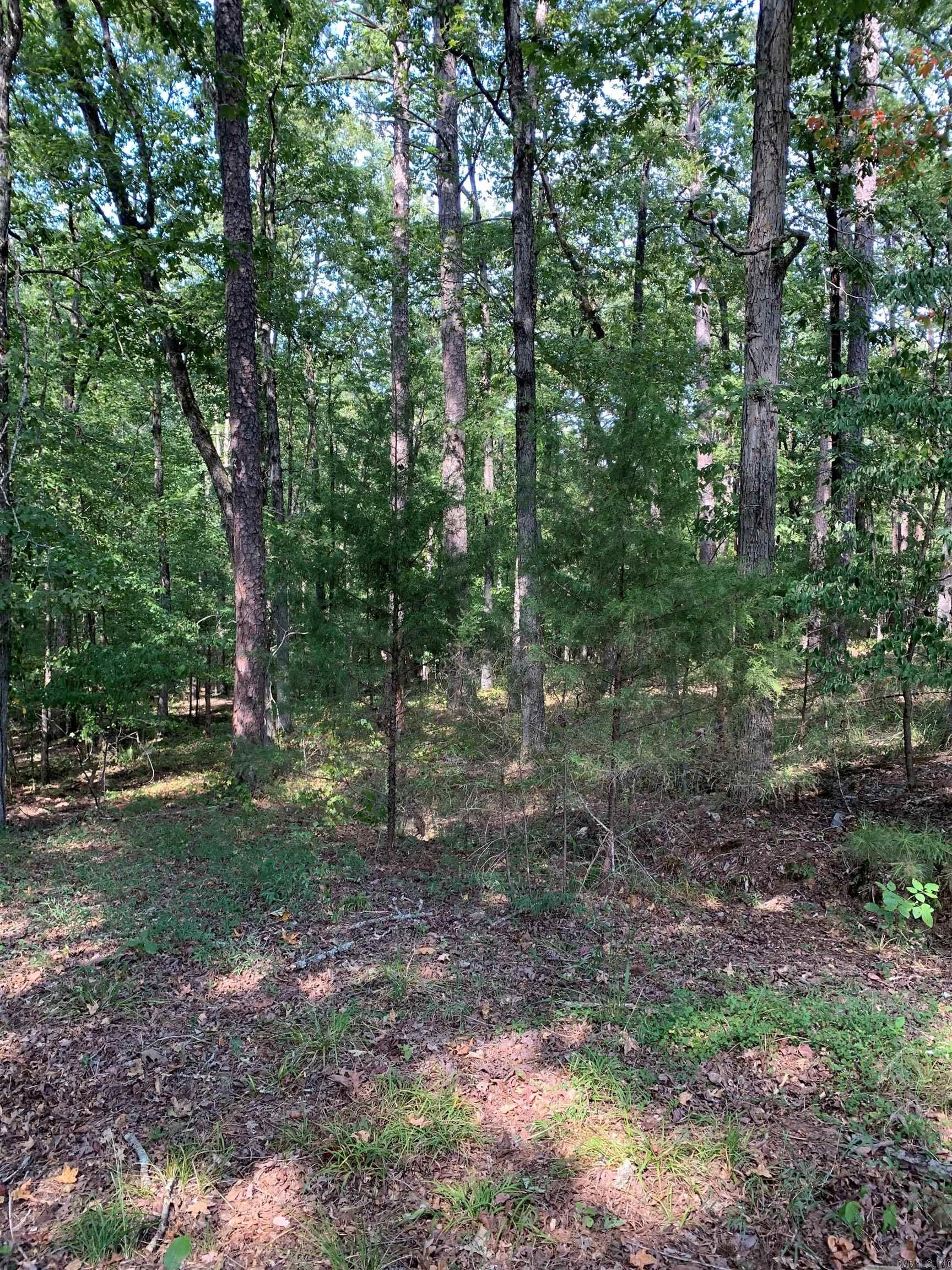 27 Raton Ln  Hot Springs Village, AR
