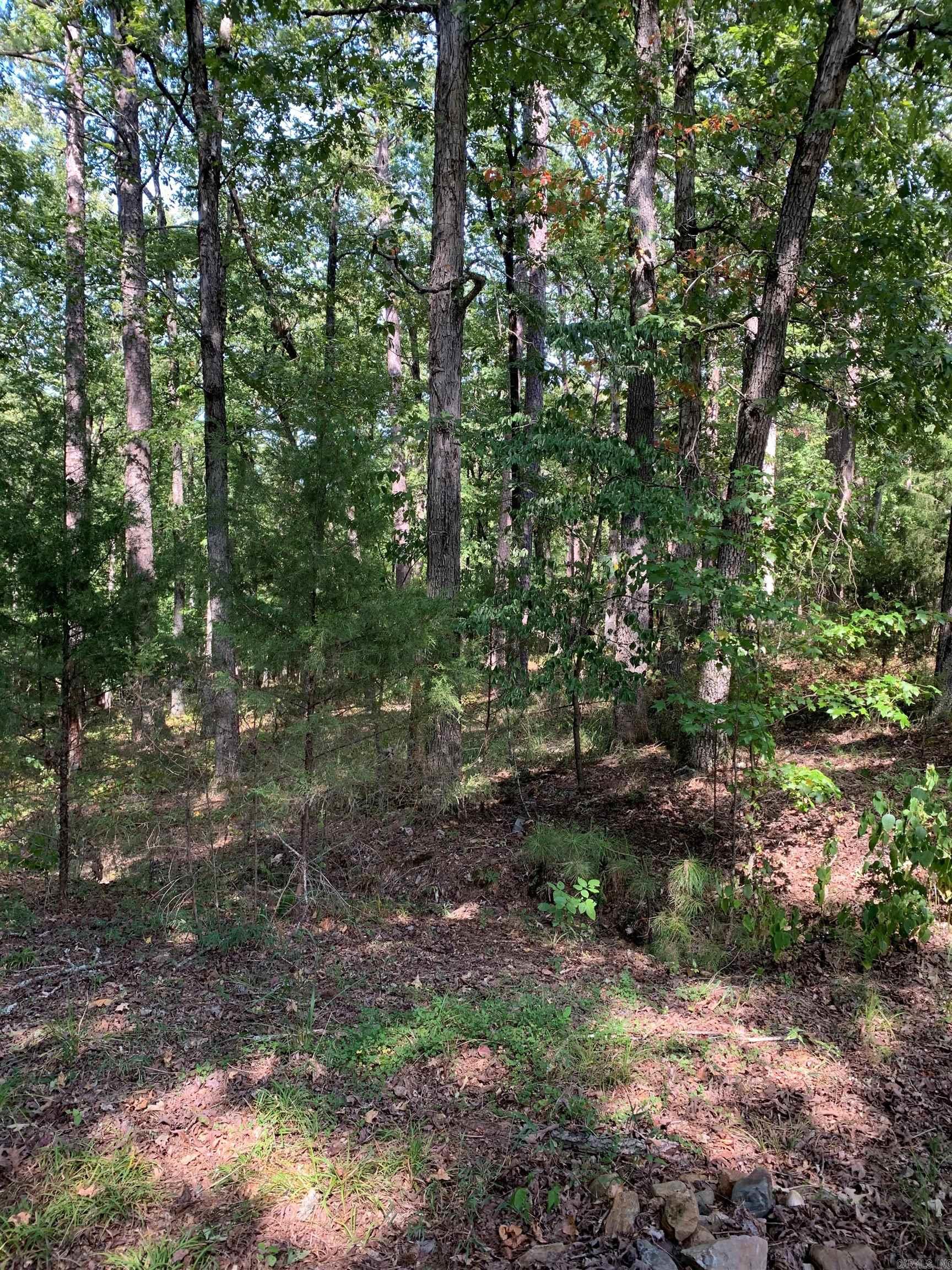 27 Raton Ln  Hot Springs Village, AR