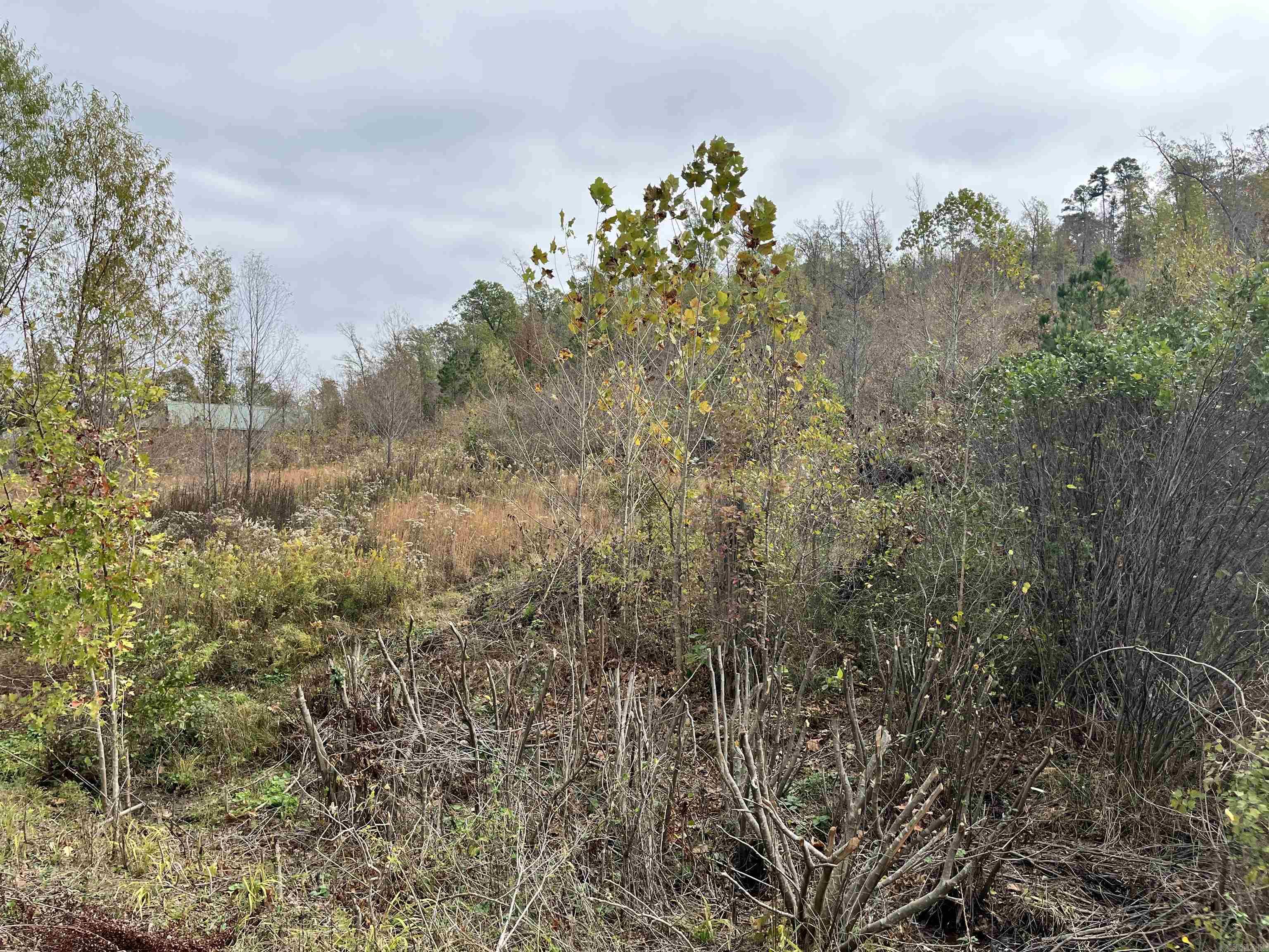 7142  Neal Creek Road  Little Rock, AR