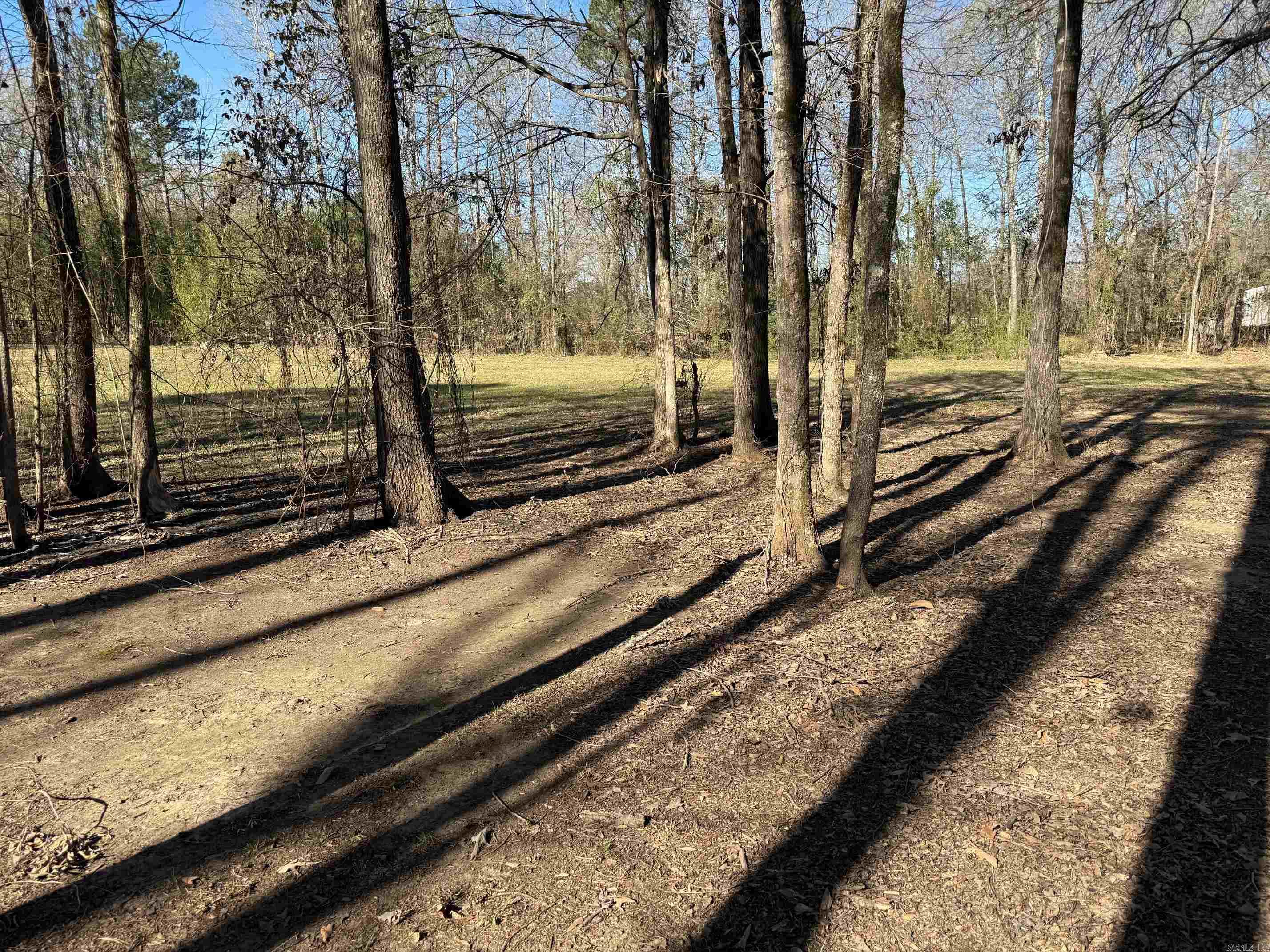 TBD  Pioneer Lane LOT 10 Hatfield, AR