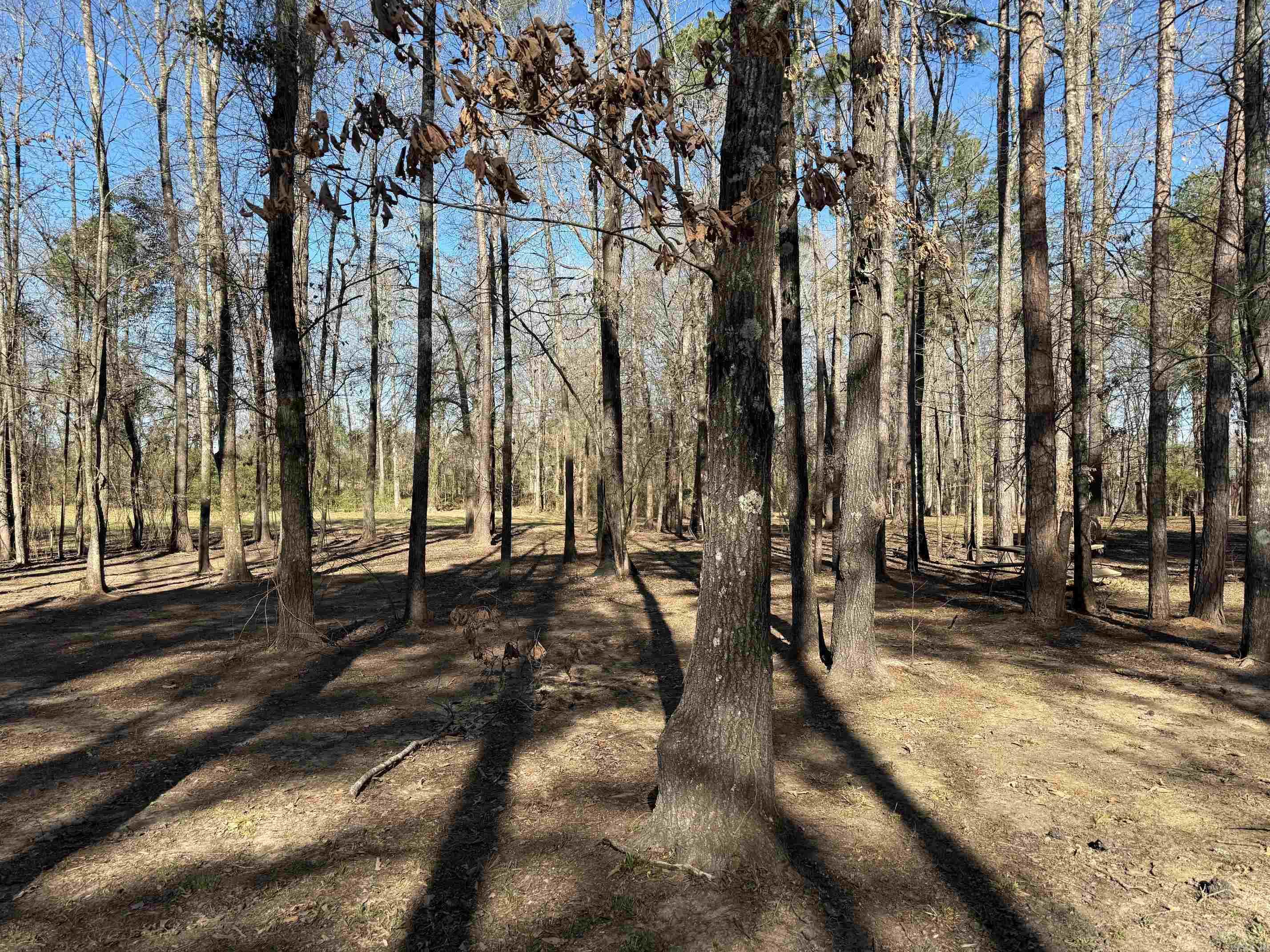 TBD  Pioneer Lane LOT 10 Hatfield, AR
