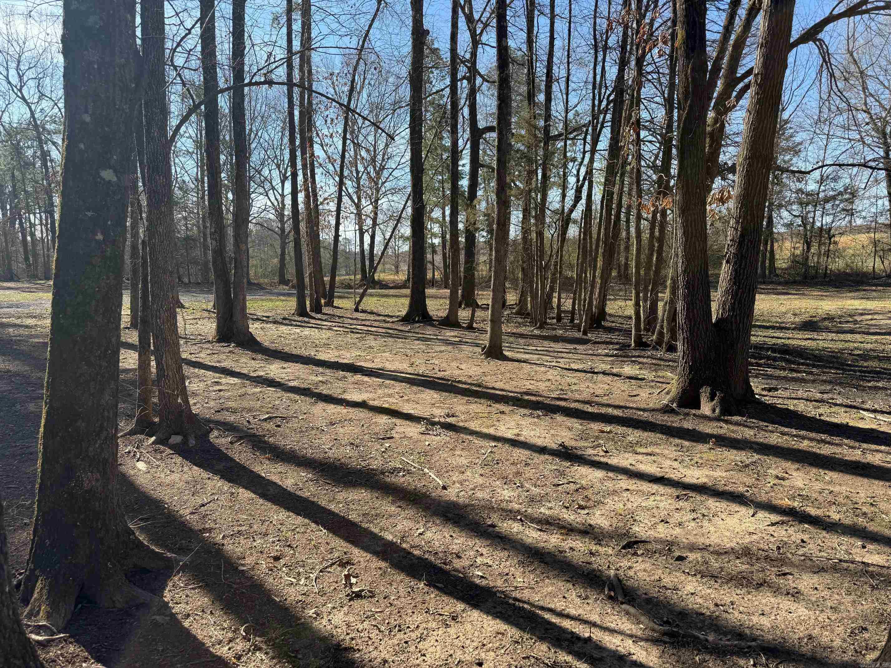 TBD  Pioneer Lane LOT 10 Hatfield, AR