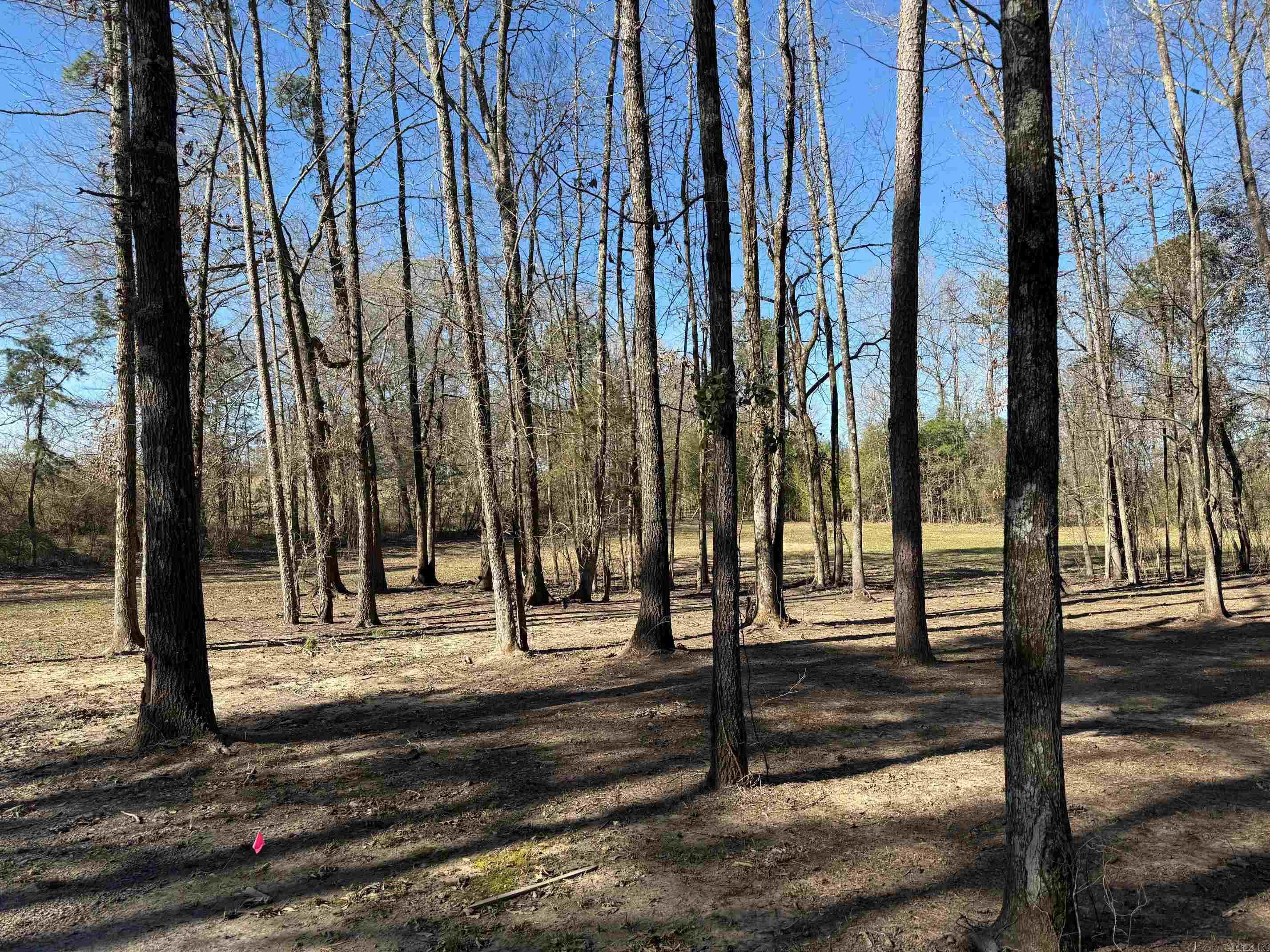 TBD  Pioneer Lane LOT 10 Hatfield, AR