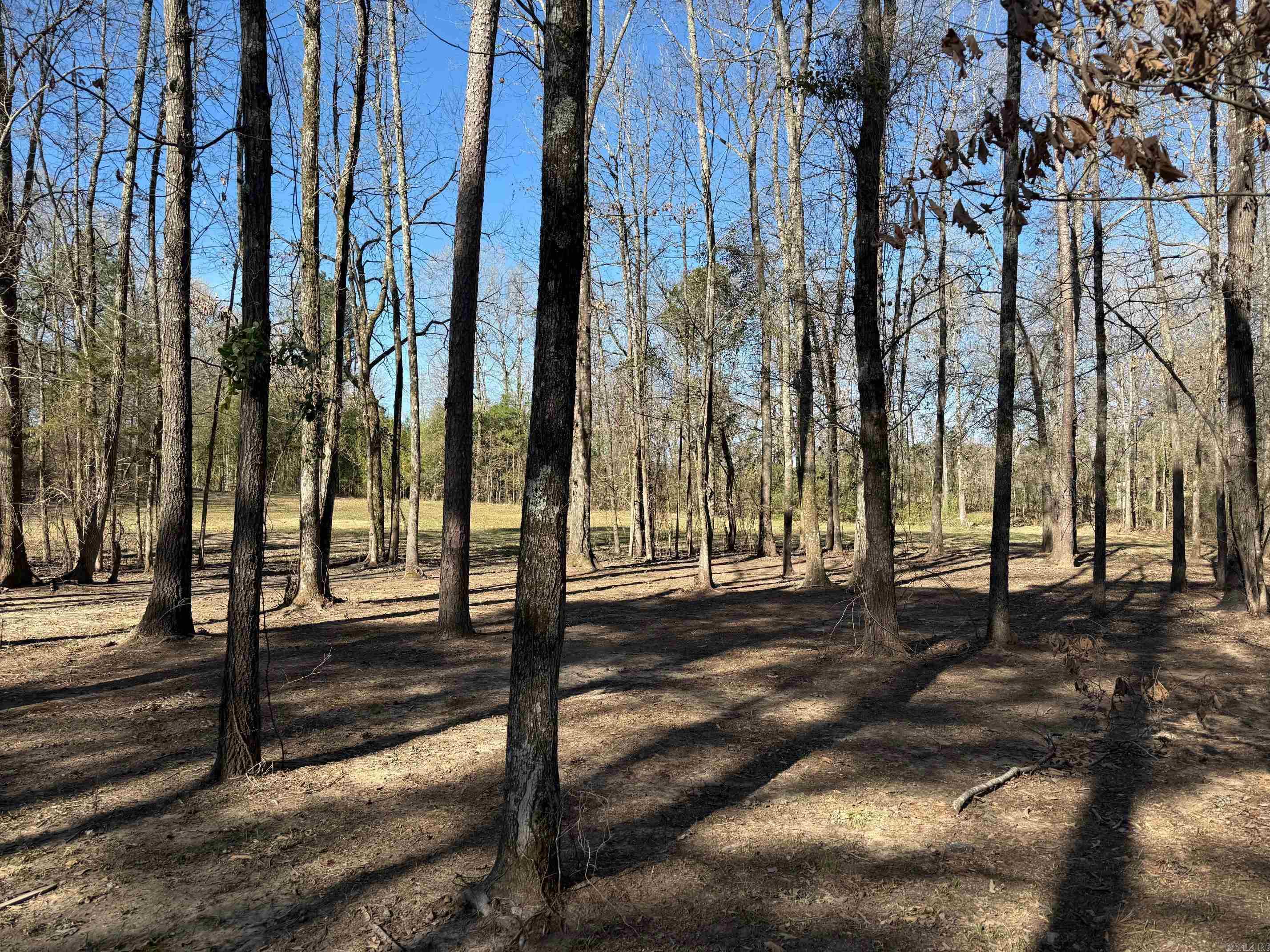 TBD  Pioneer Lane LOT 10 Hatfield, AR