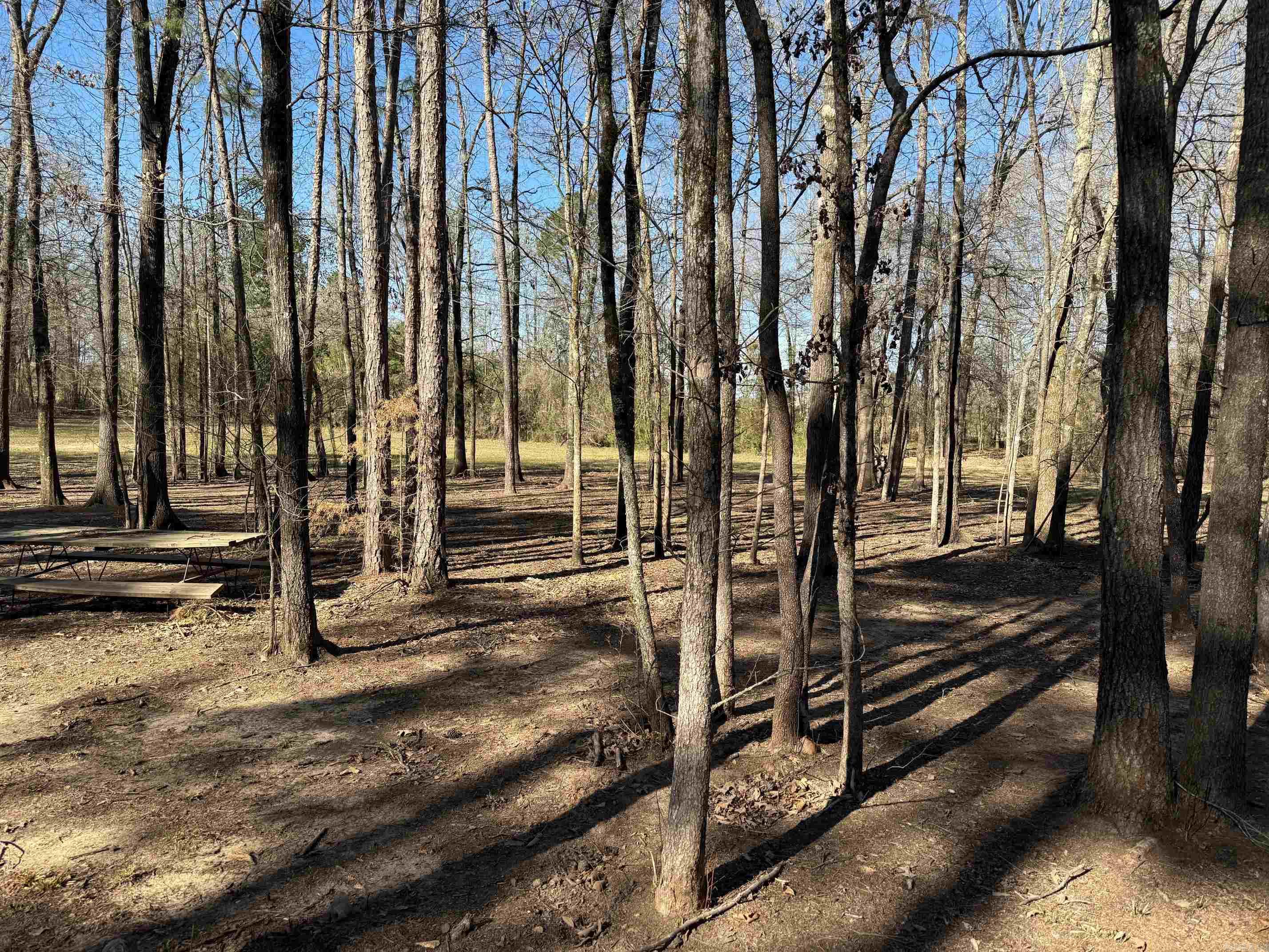 TBD  Pioneer Lane LOT 10 Hatfield, AR