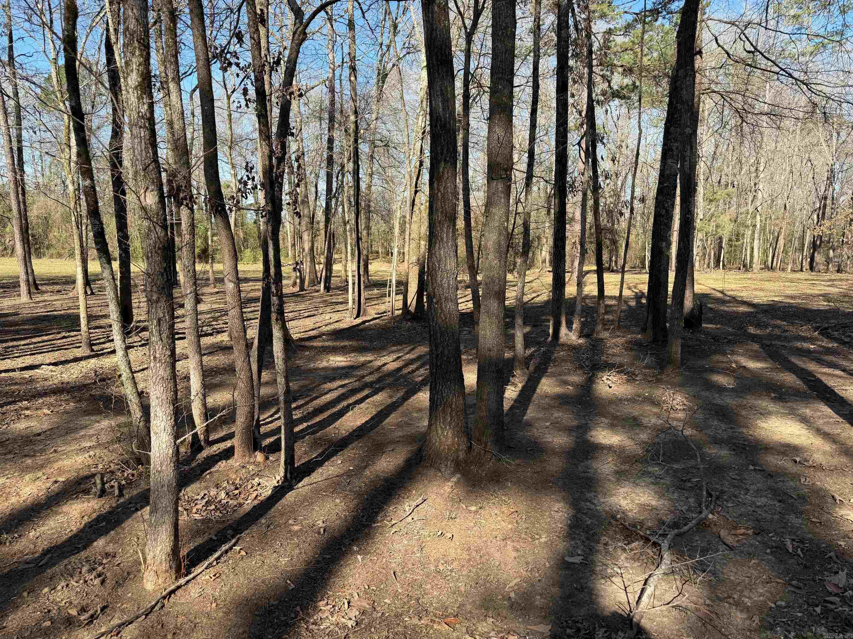 TBD  Pioneer Lane LOT 10 Hatfield, AR