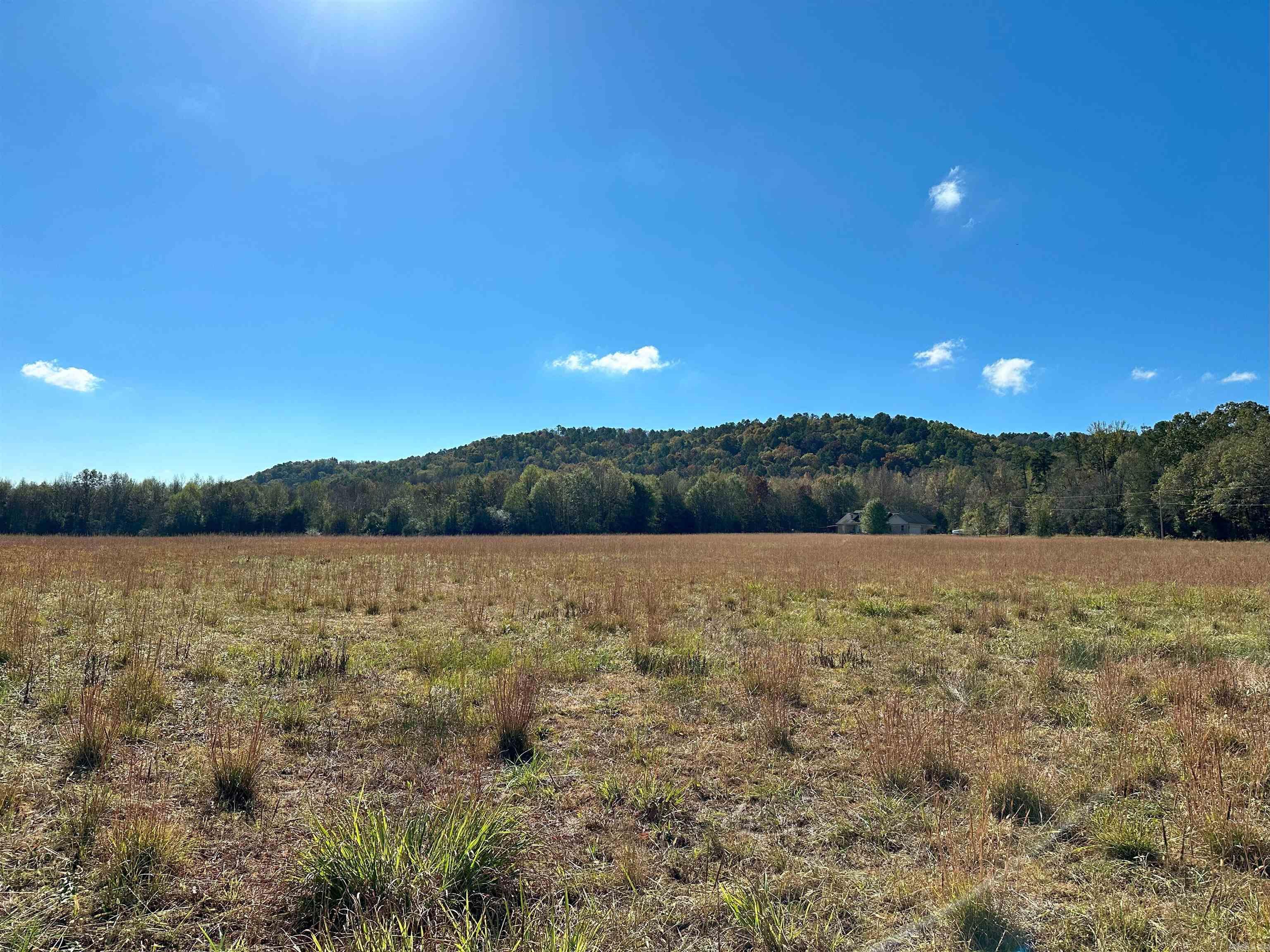 0  Peaceful Valley  Dover, AR