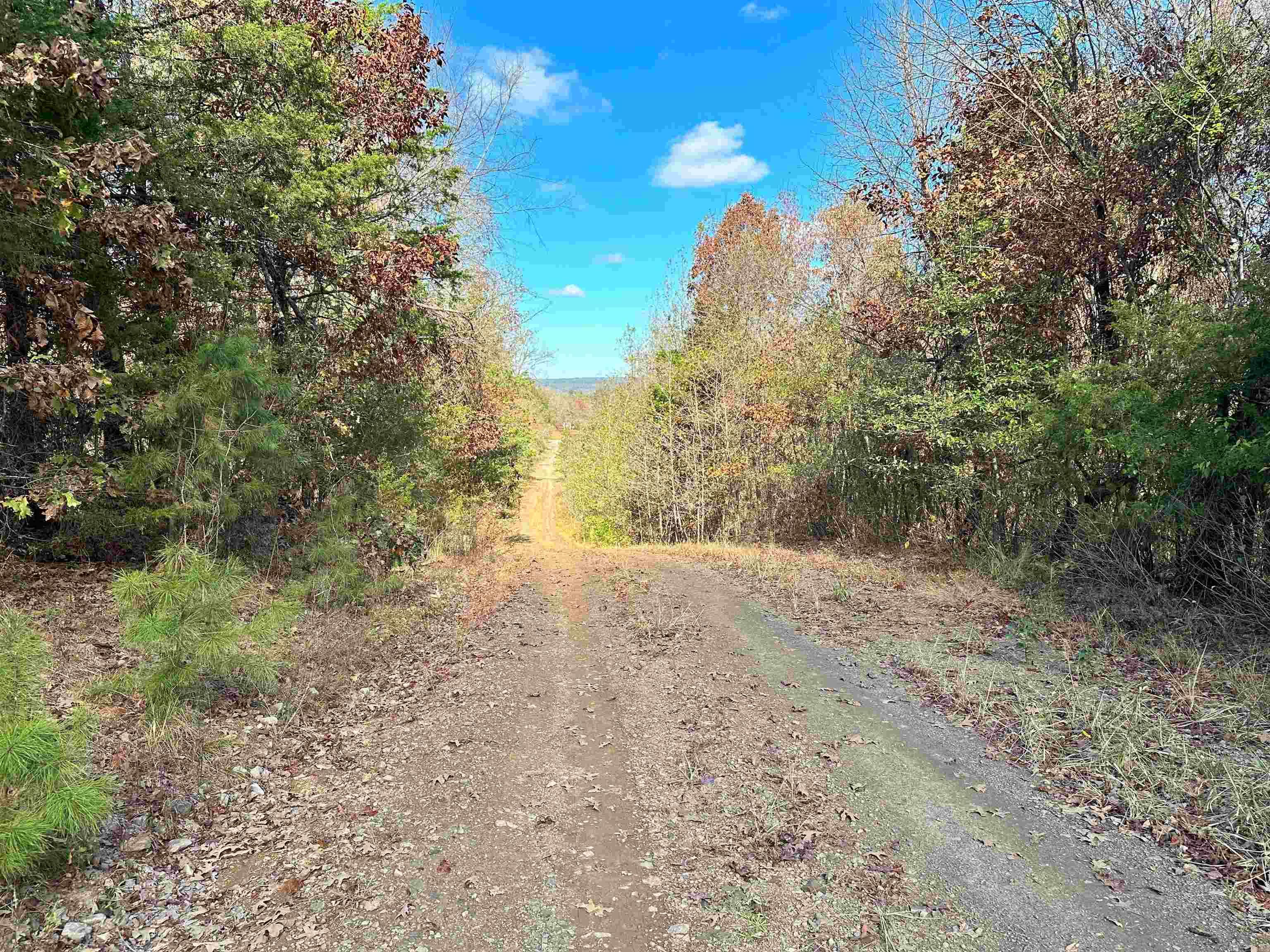 0  Peaceful Valley  Dover, AR