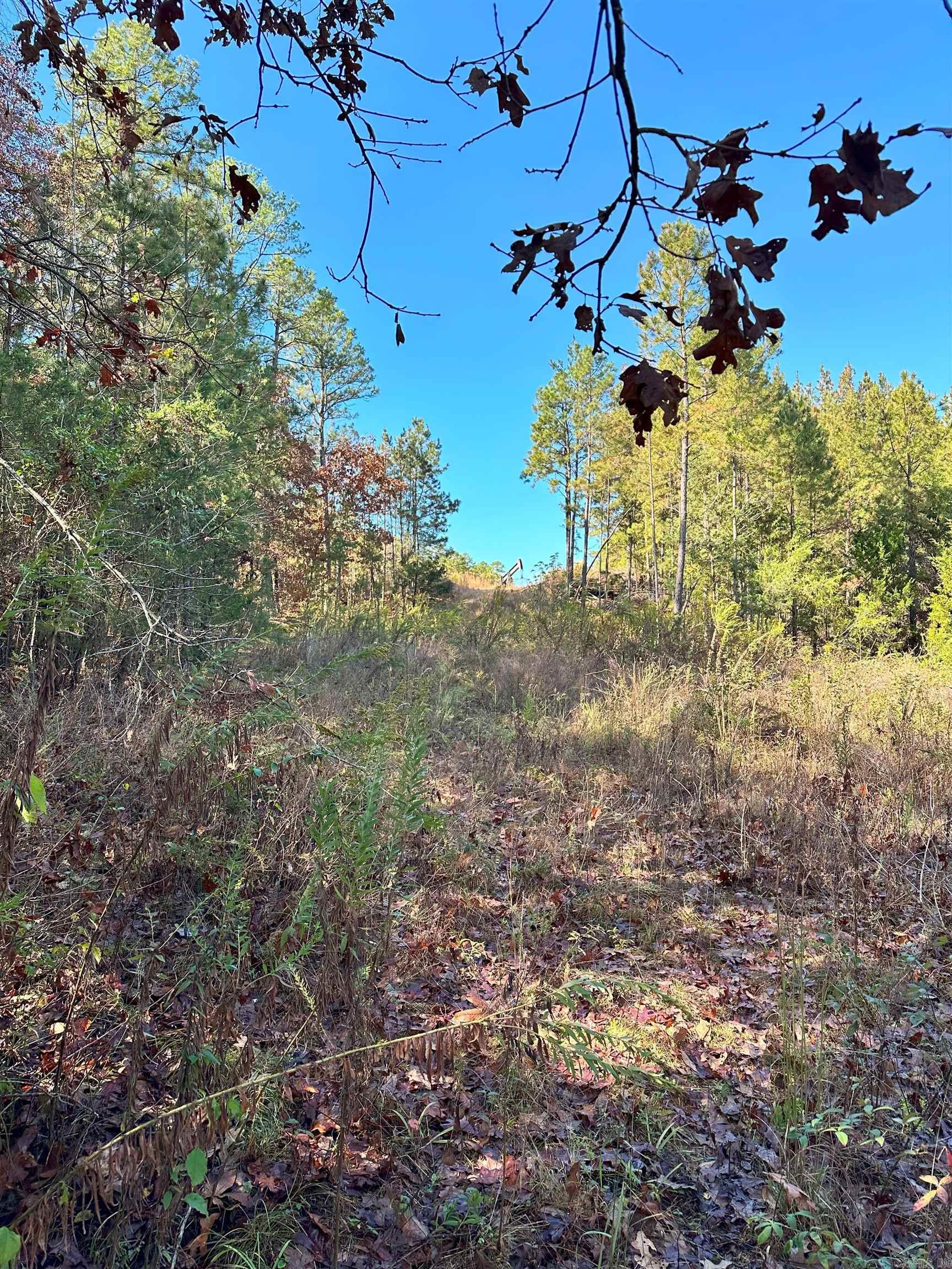 0  Peaceful Valley  Dover, AR