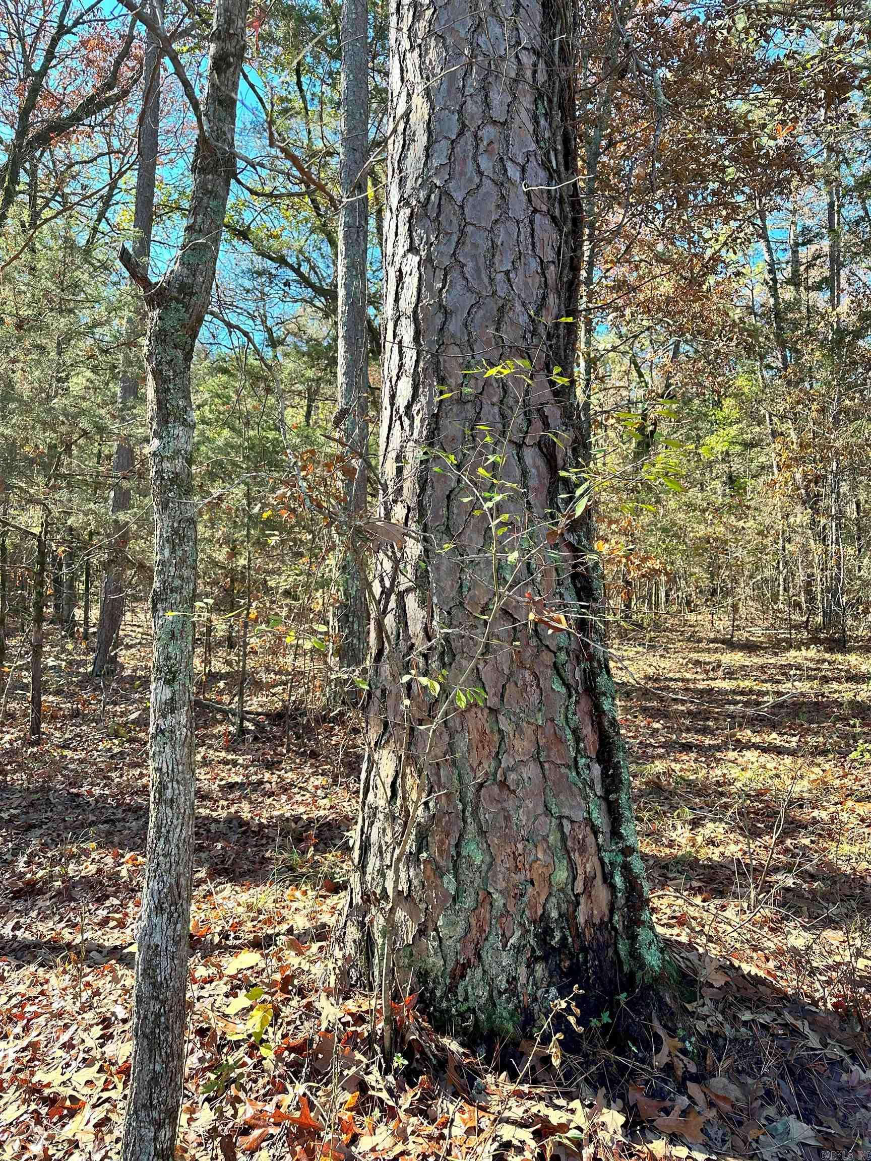 0  Peaceful Valley  Dover, AR
