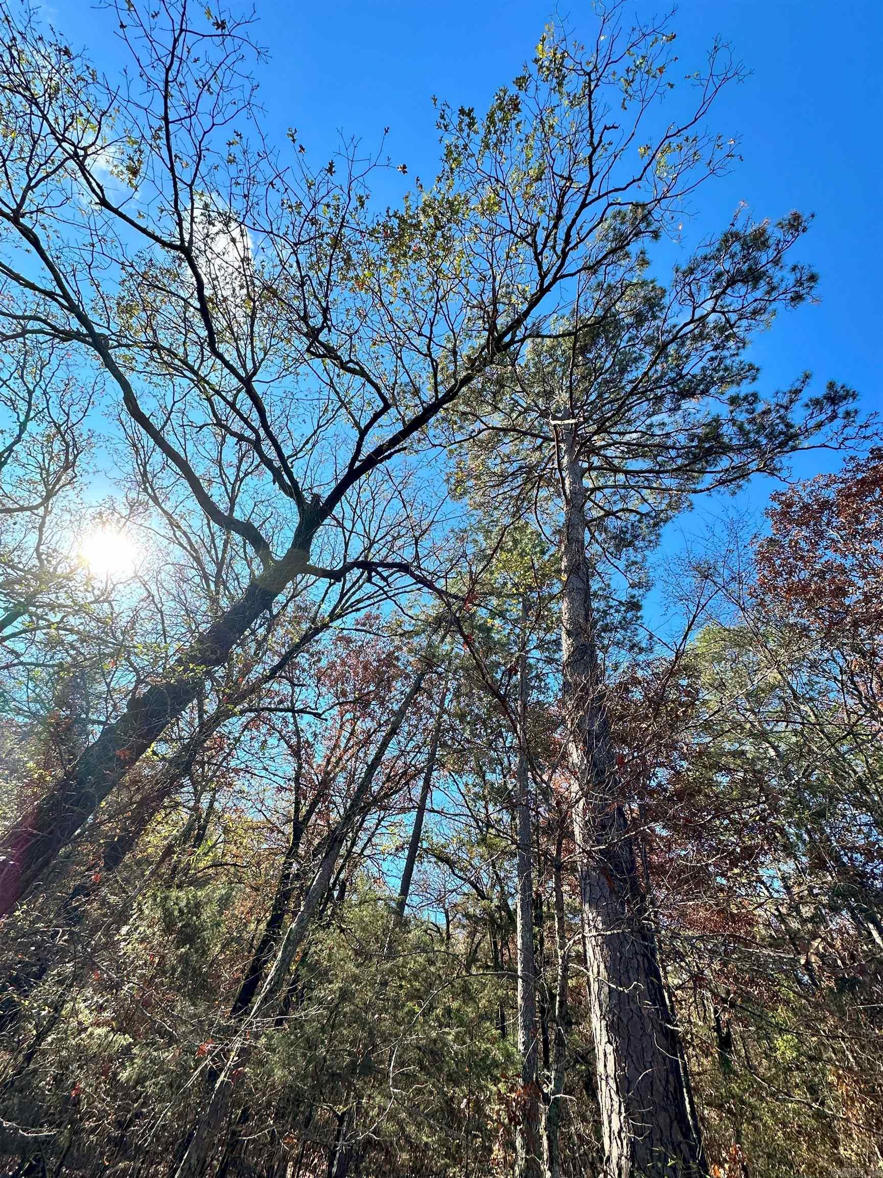 0  Peaceful Valley  Dover, AR