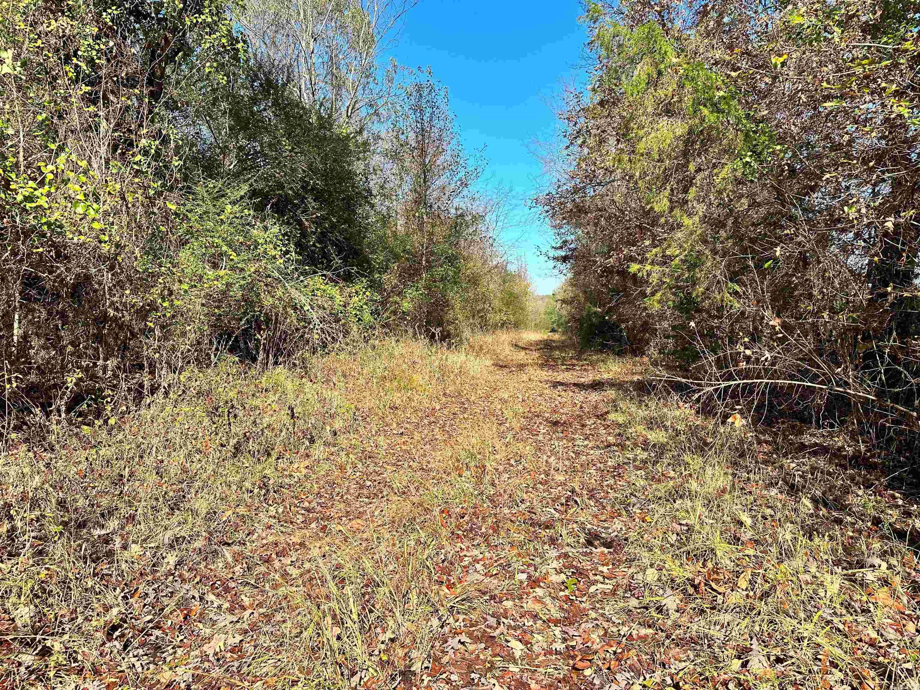 0  Peaceful Valley  Dover, AR