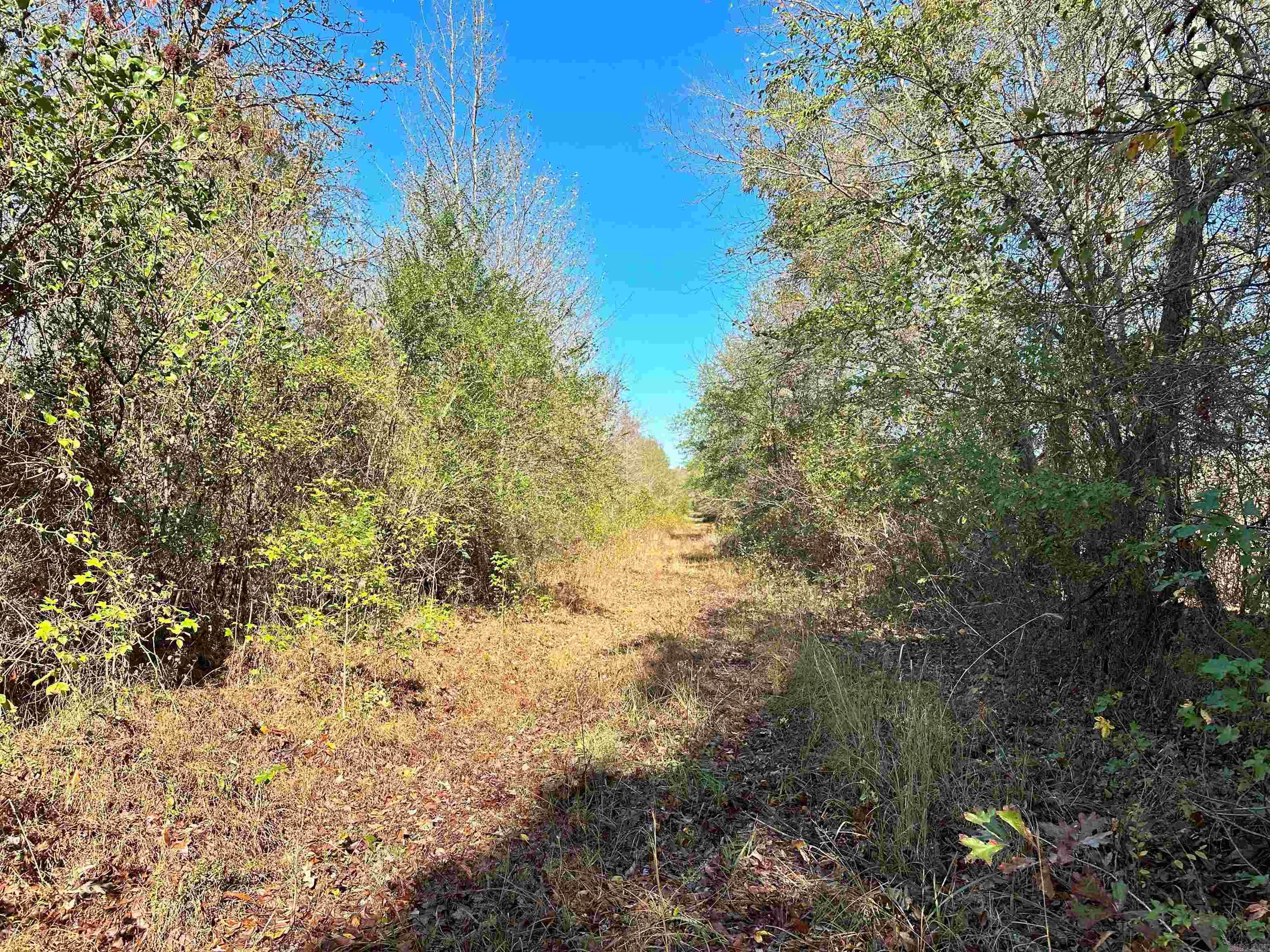 0  Peaceful Valley  Dover, AR