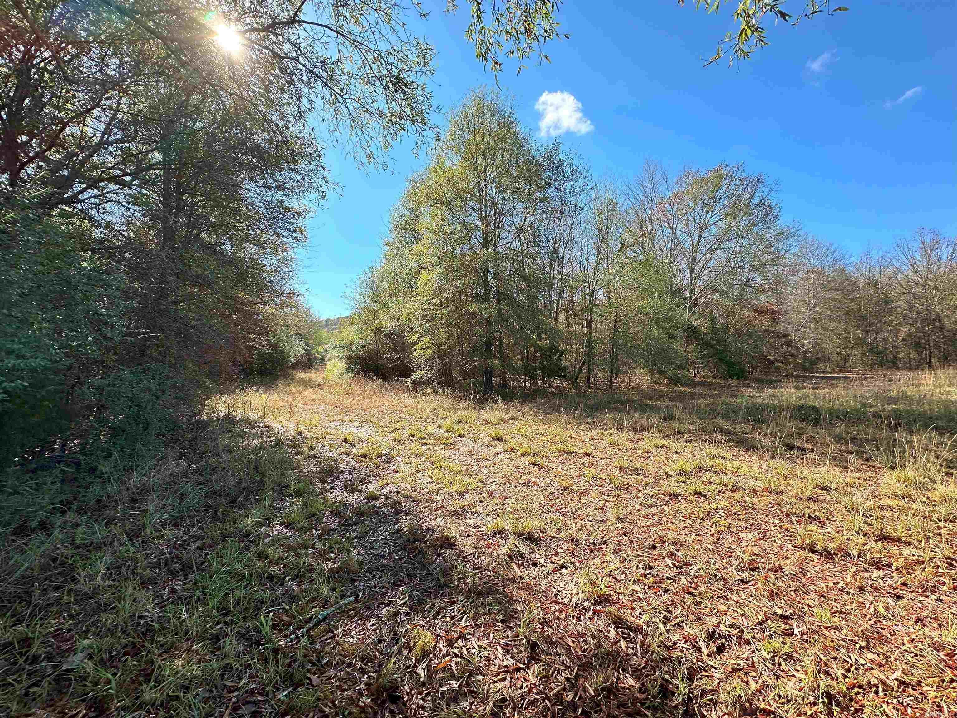 0  Peaceful Valley  Dover, AR