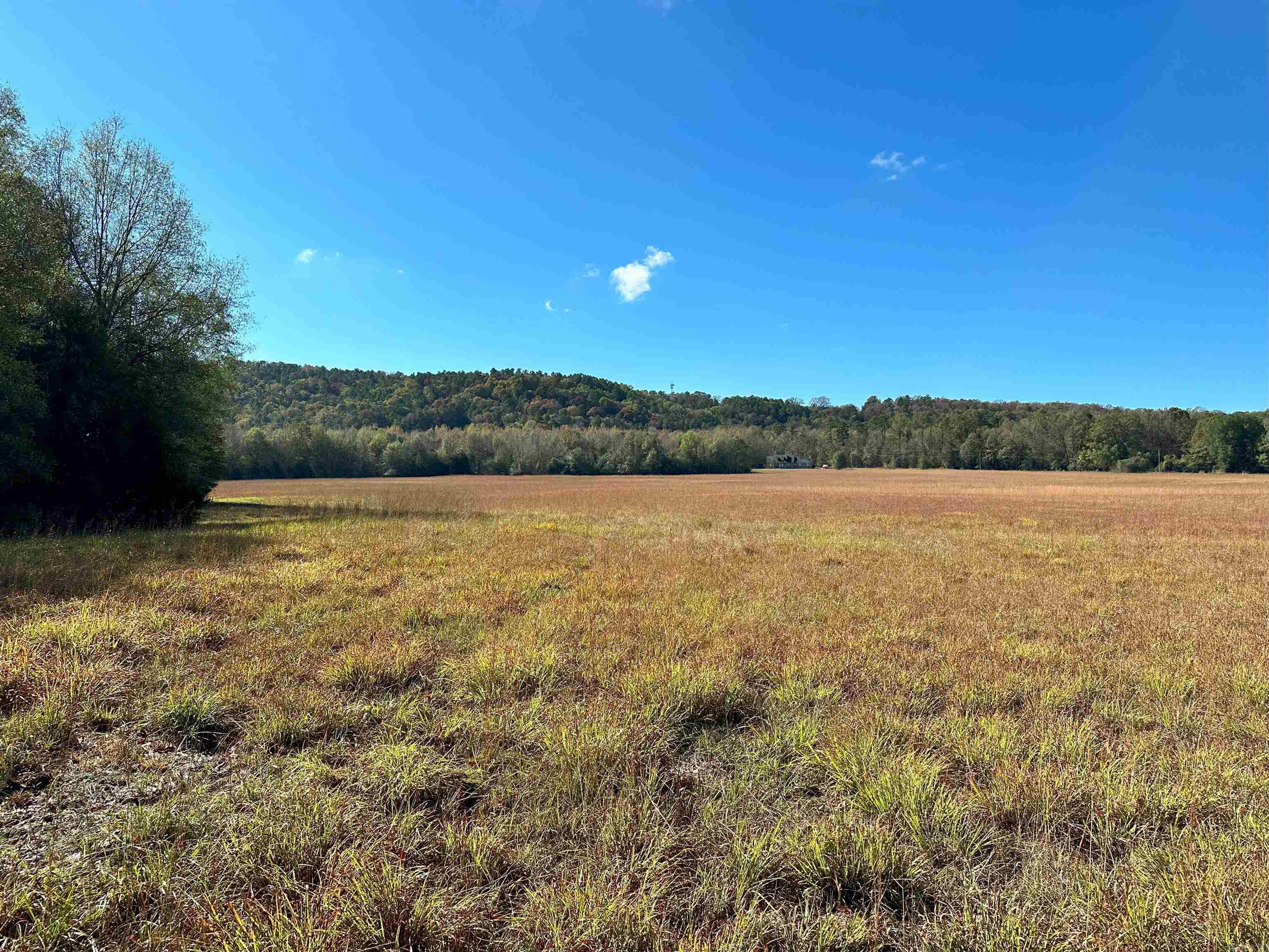 0  Peaceful Valley  Dover, AR