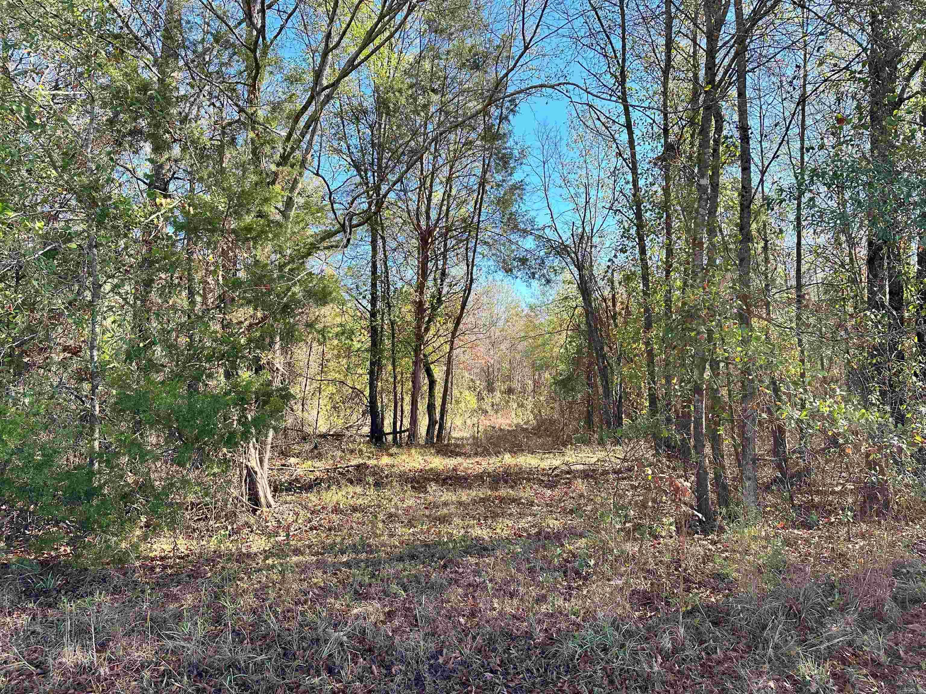 0  Peaceful Valley  Dover, AR