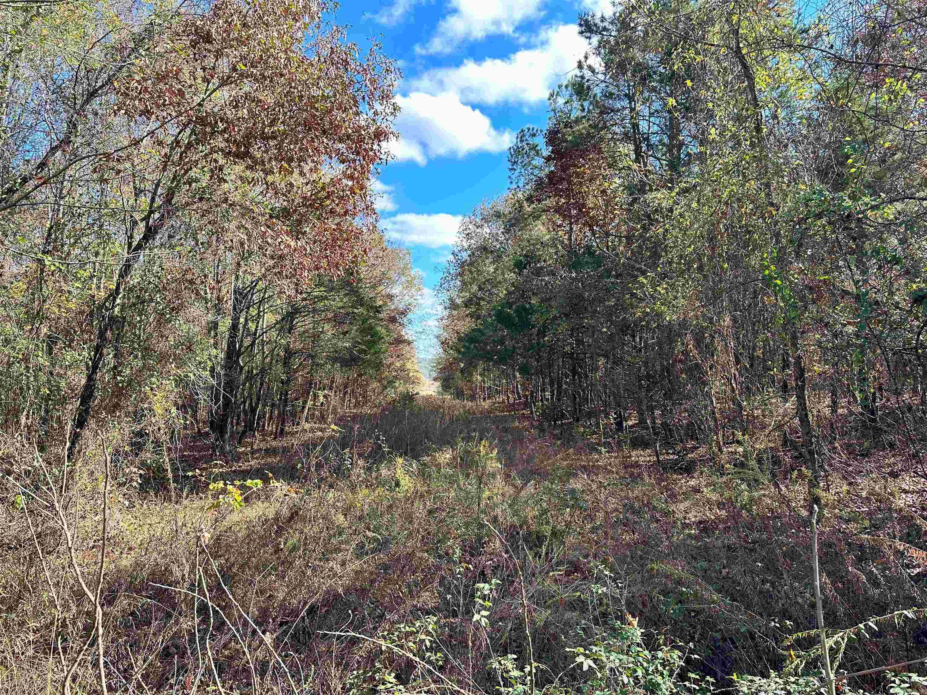 0  Peaceful Valley  Dover, AR