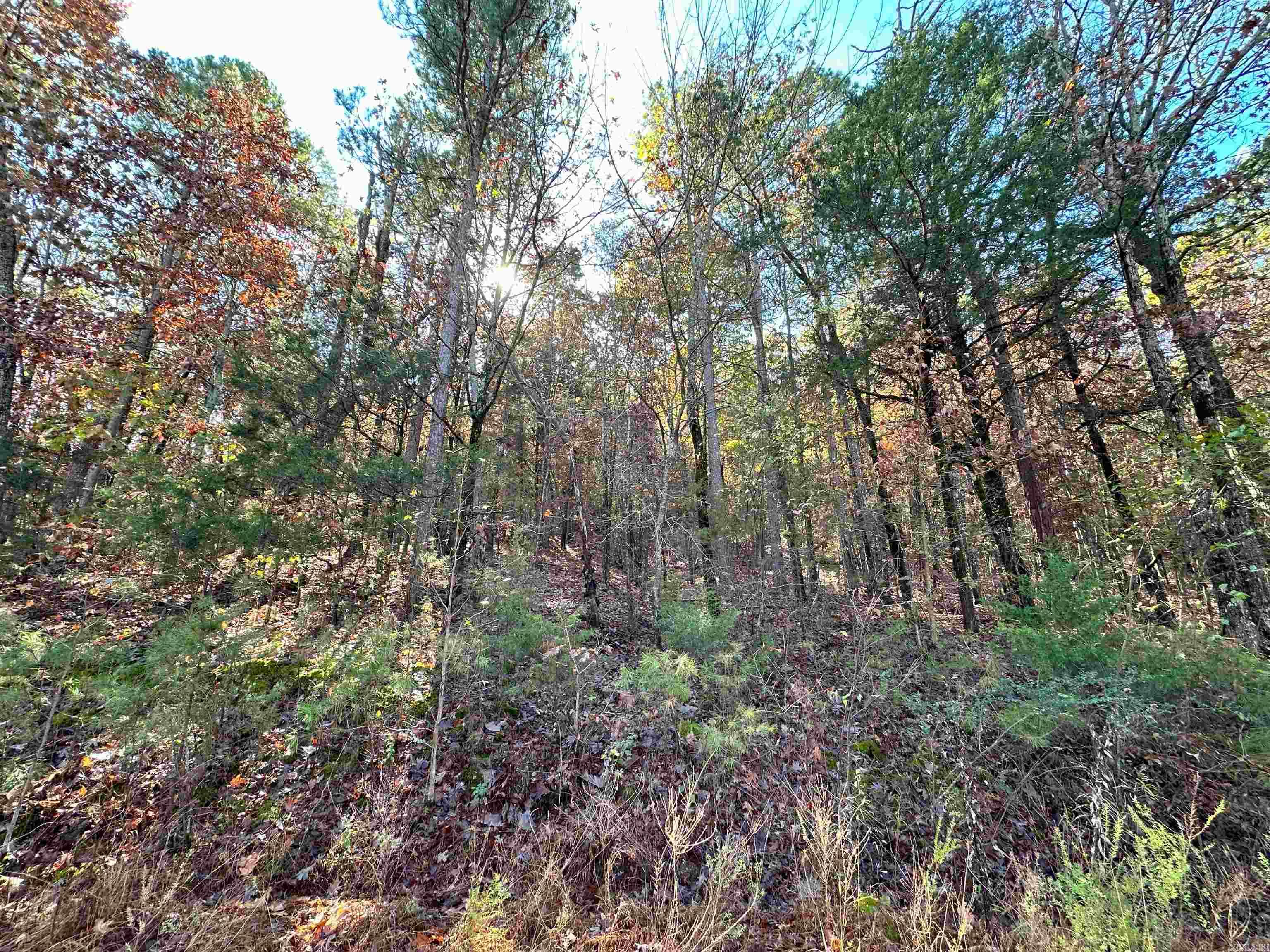 0  Peaceful Valley  Dover, AR