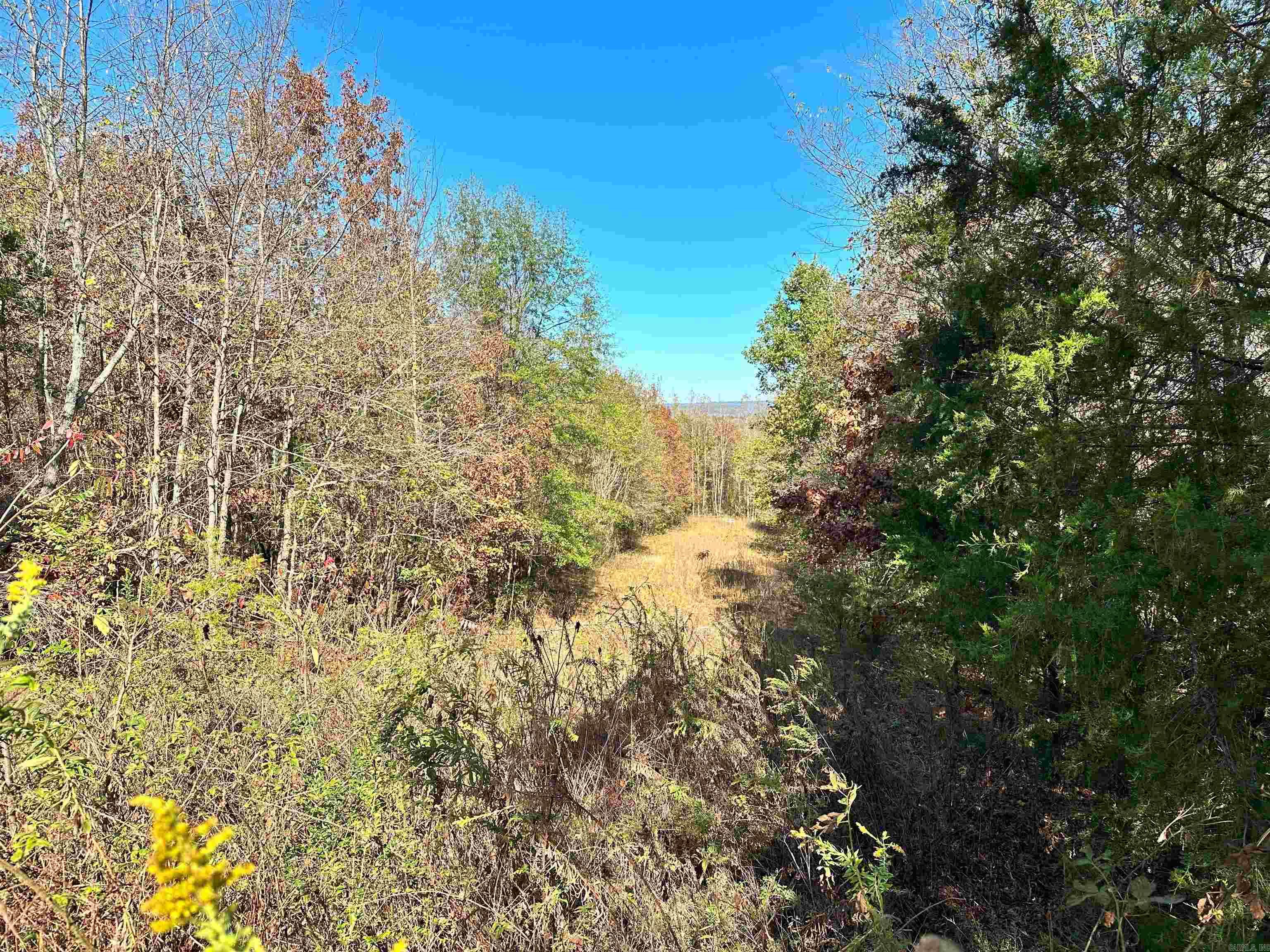 0  Peaceful Valley  Dover, AR
