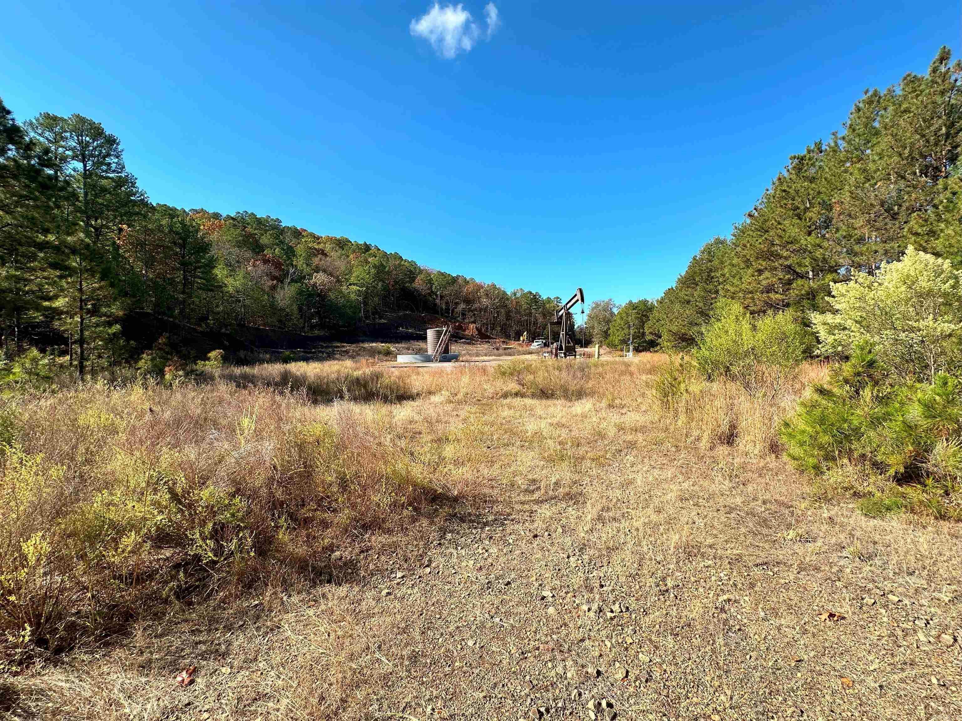 0  Peaceful Valley  Dover, AR