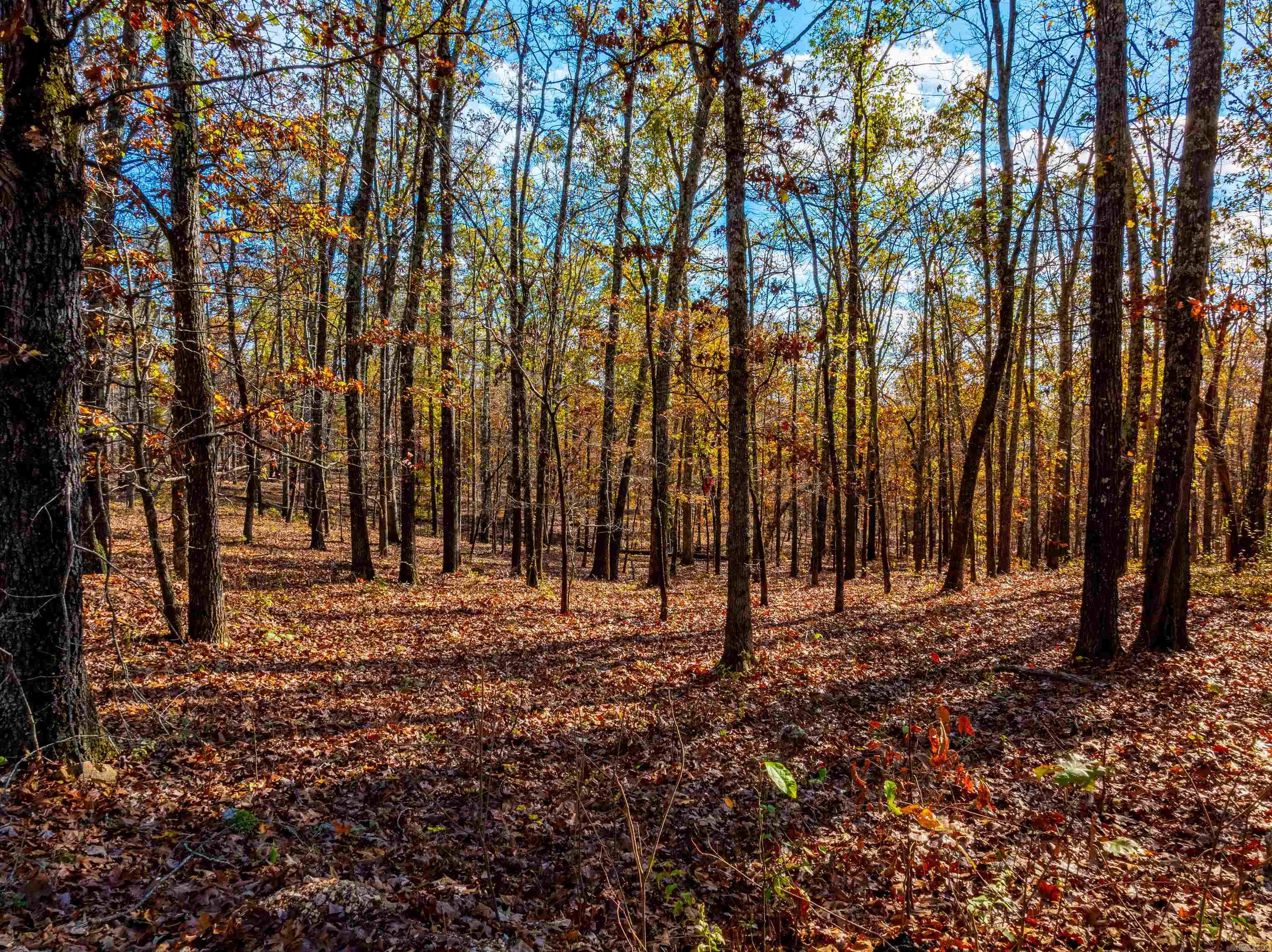   River Rd  Hardy, AR