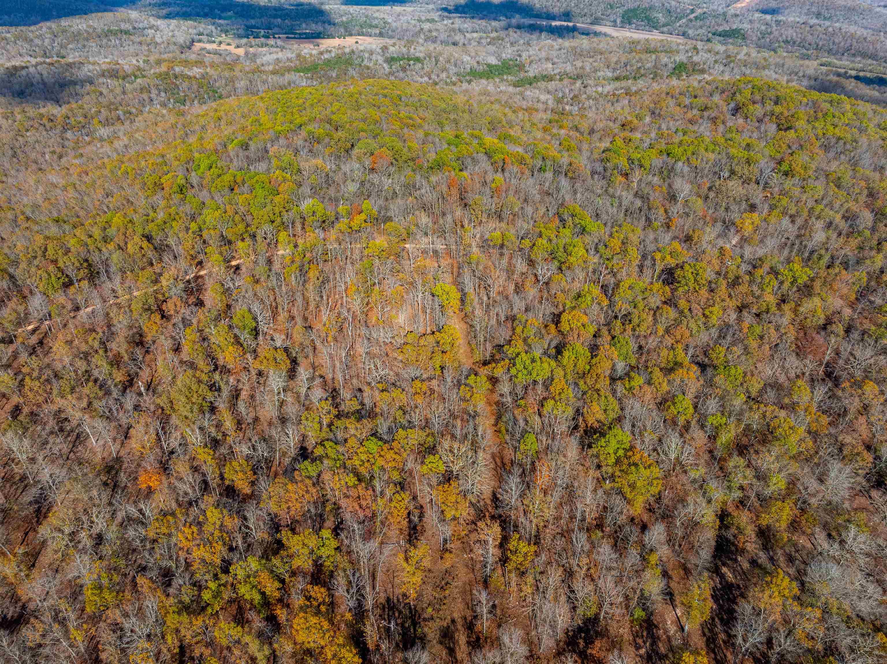   River Rd  Hardy, AR