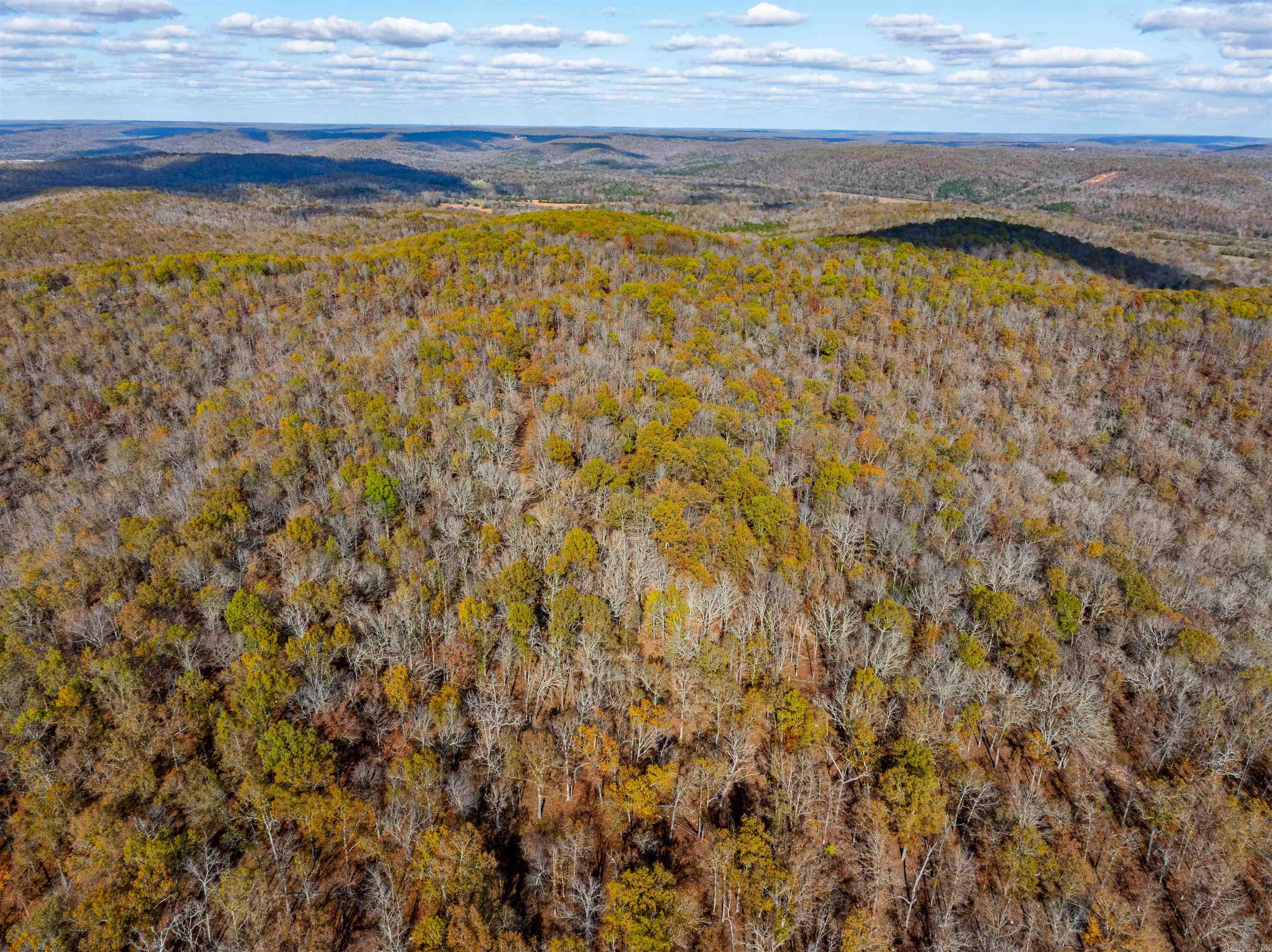   River Rd  Hardy, AR