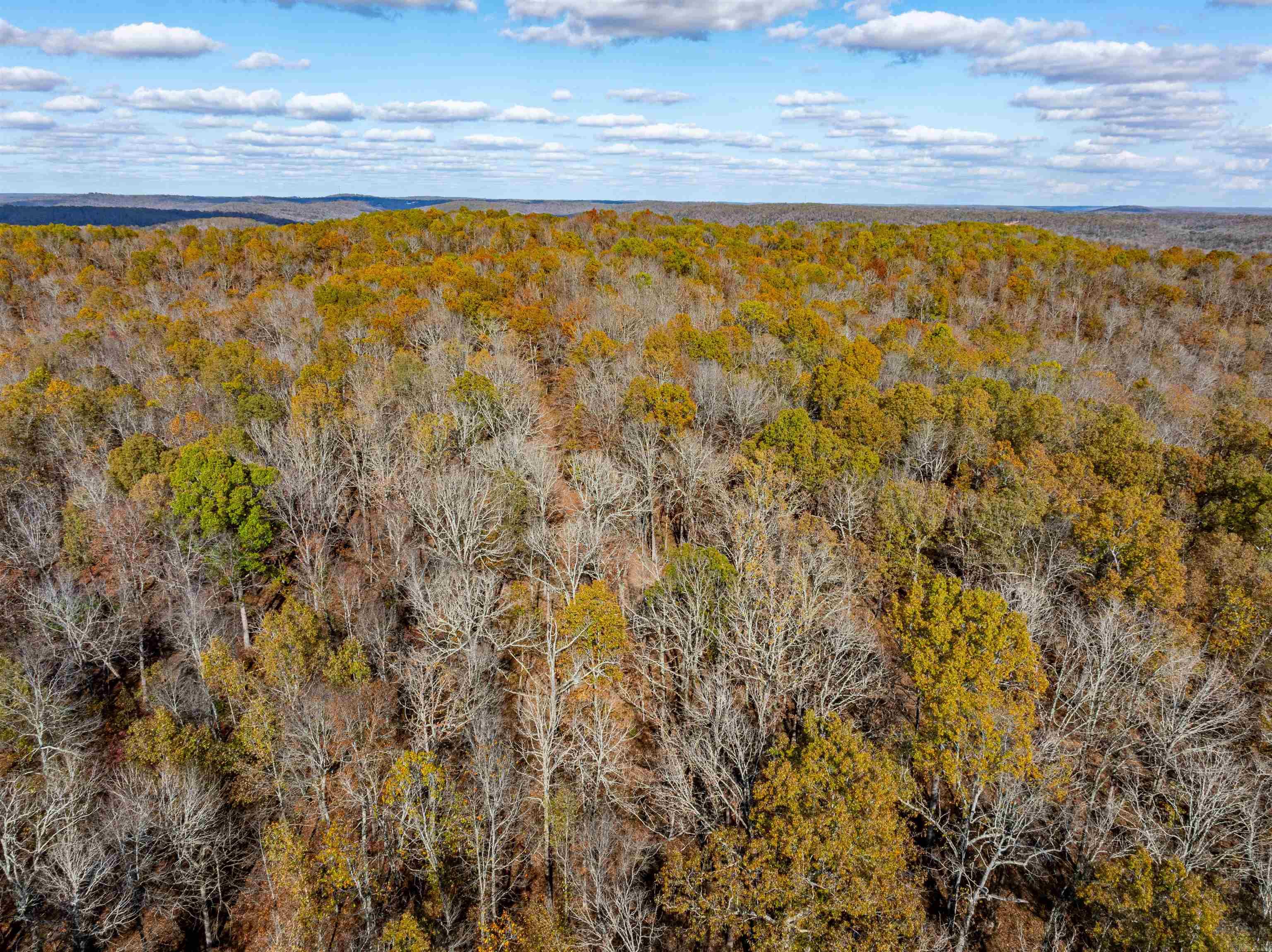   River Rd  Hardy, AR