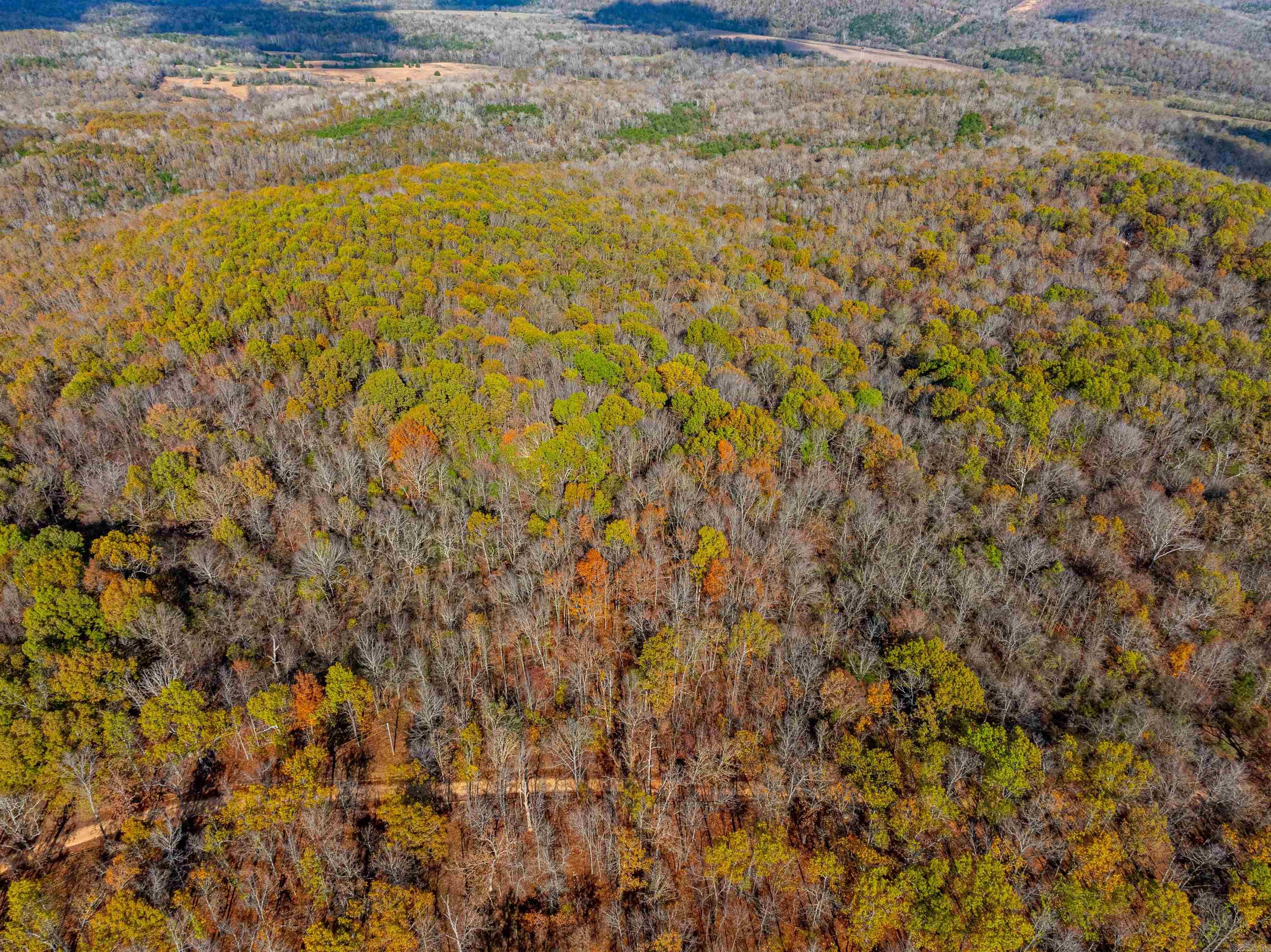   River Rd  Hardy, AR