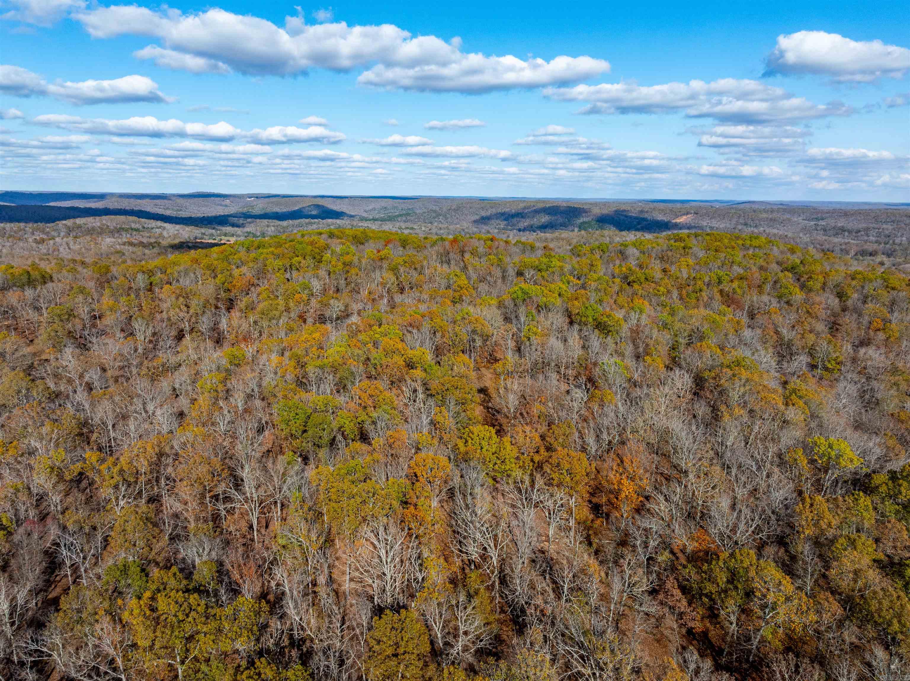   River Rd  Hardy, AR