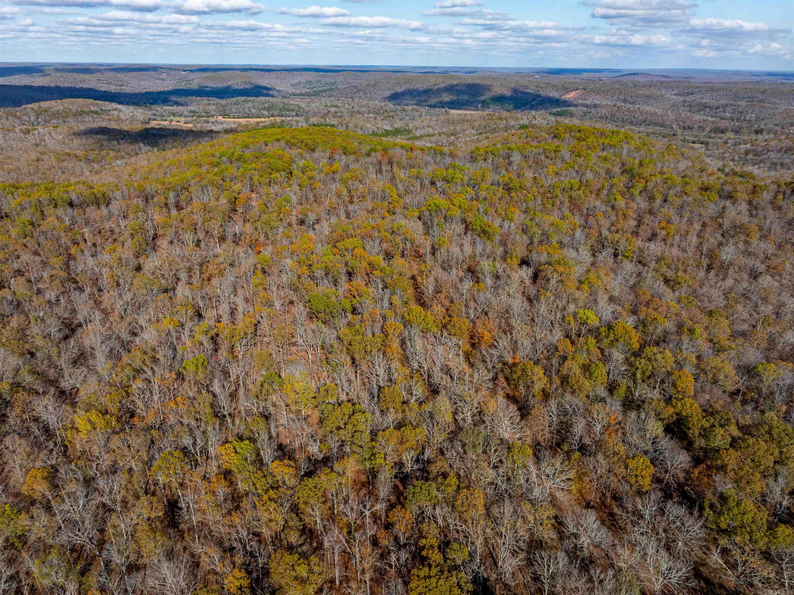   River Rd  Hardy, AR
