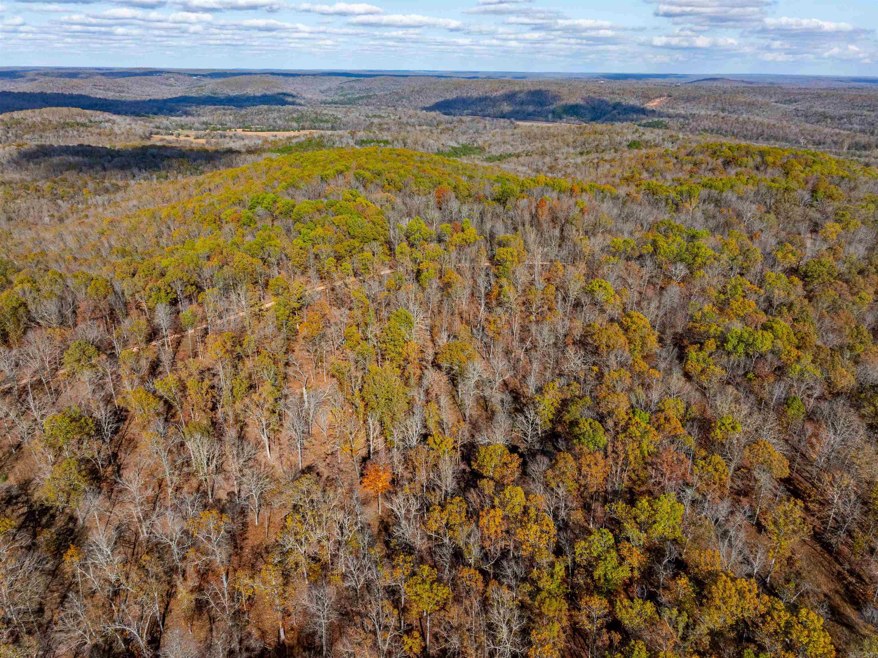   River Rd  Hardy, AR