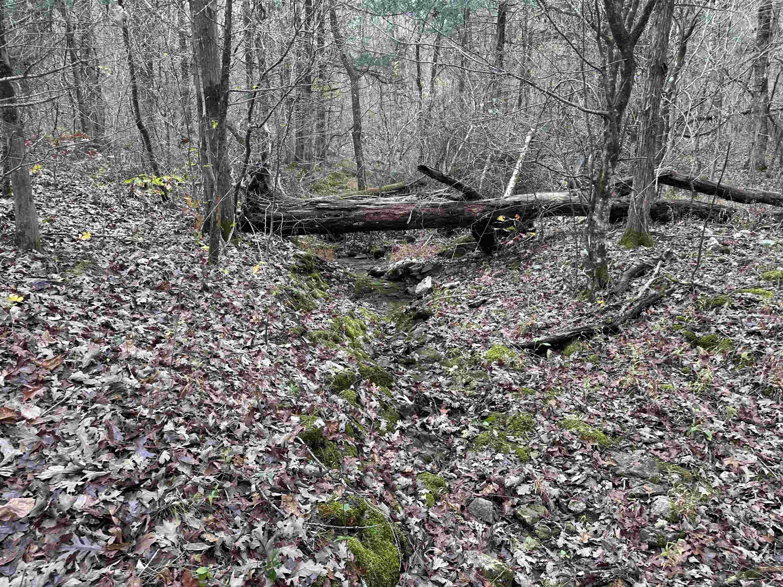   Hulett Rd  Evening Shade, AR