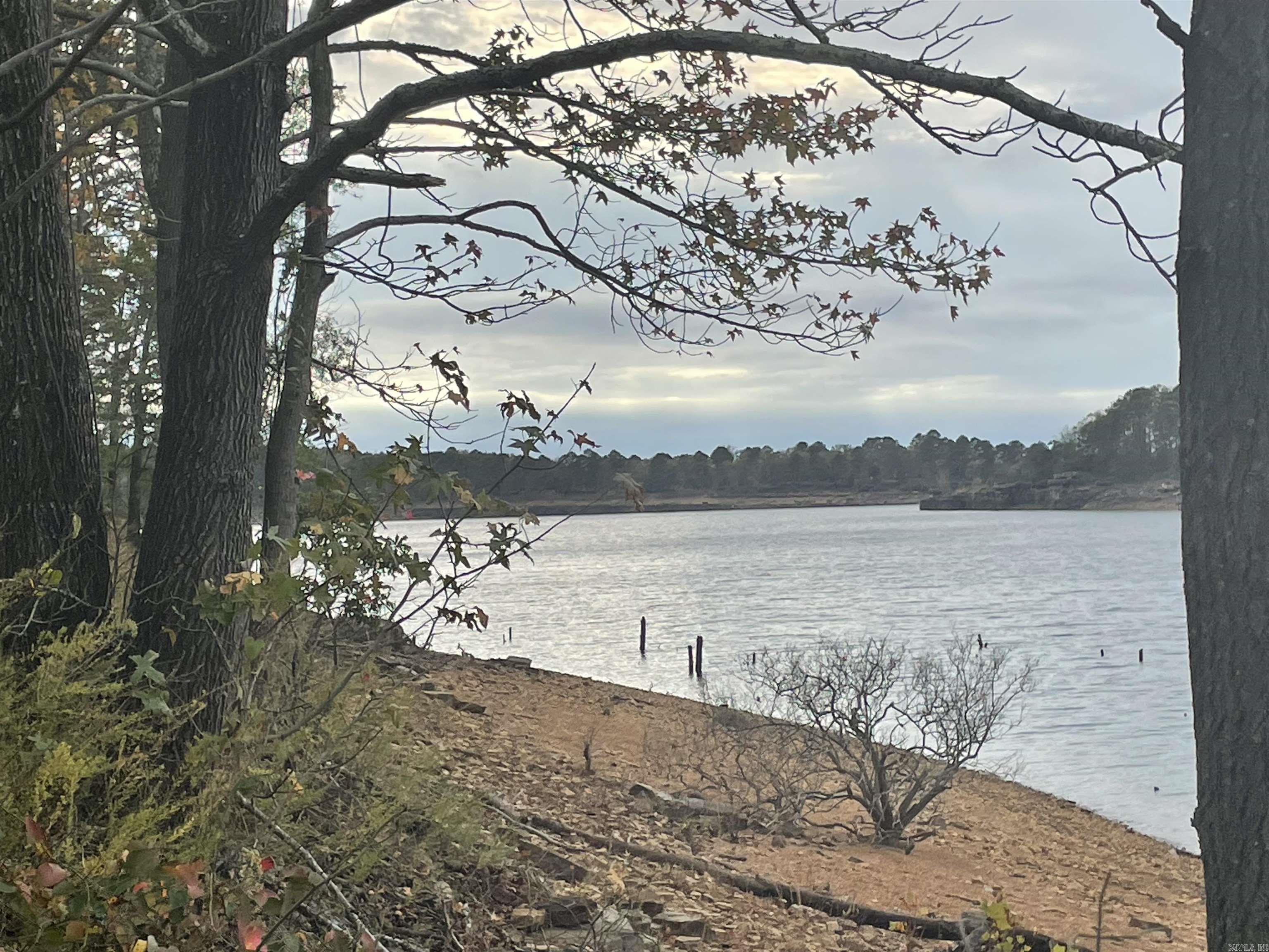 319  Lake Forest Estate  Tumbling Shoals, AR