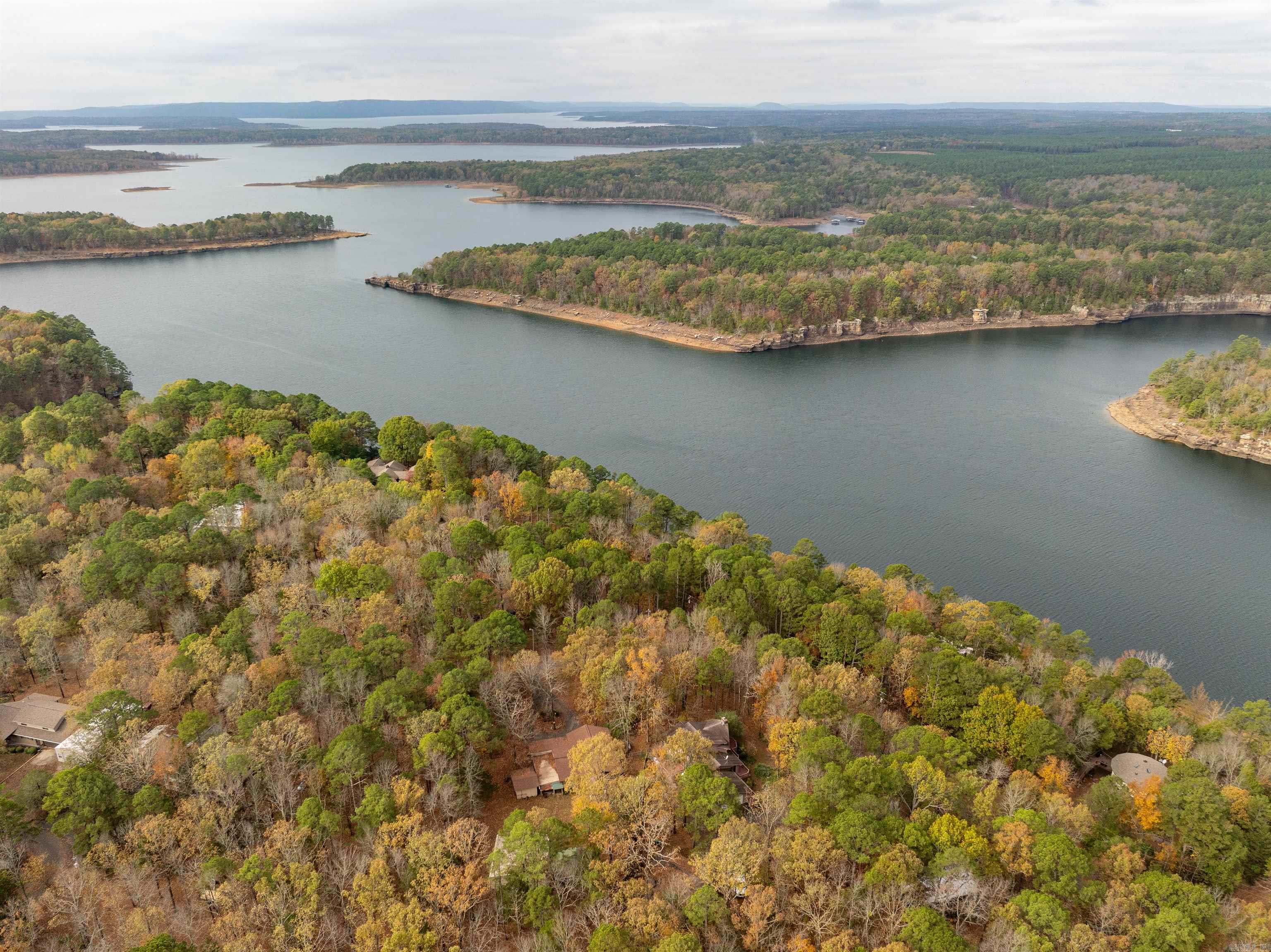 319  Lake Forest Estate  Tumbling Shoals, AR