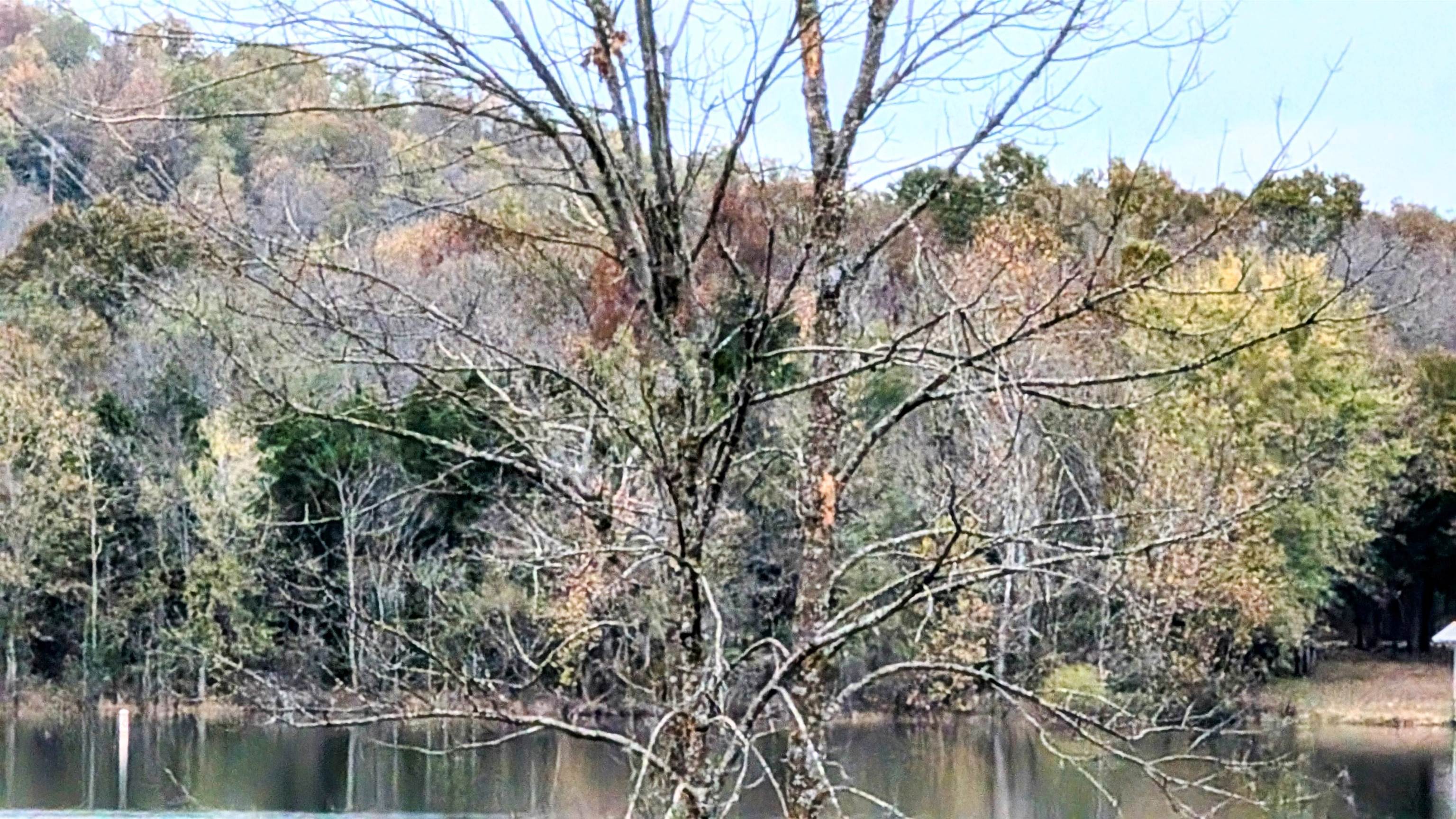 1805  Fox Point  Horseshoe Bend, AR