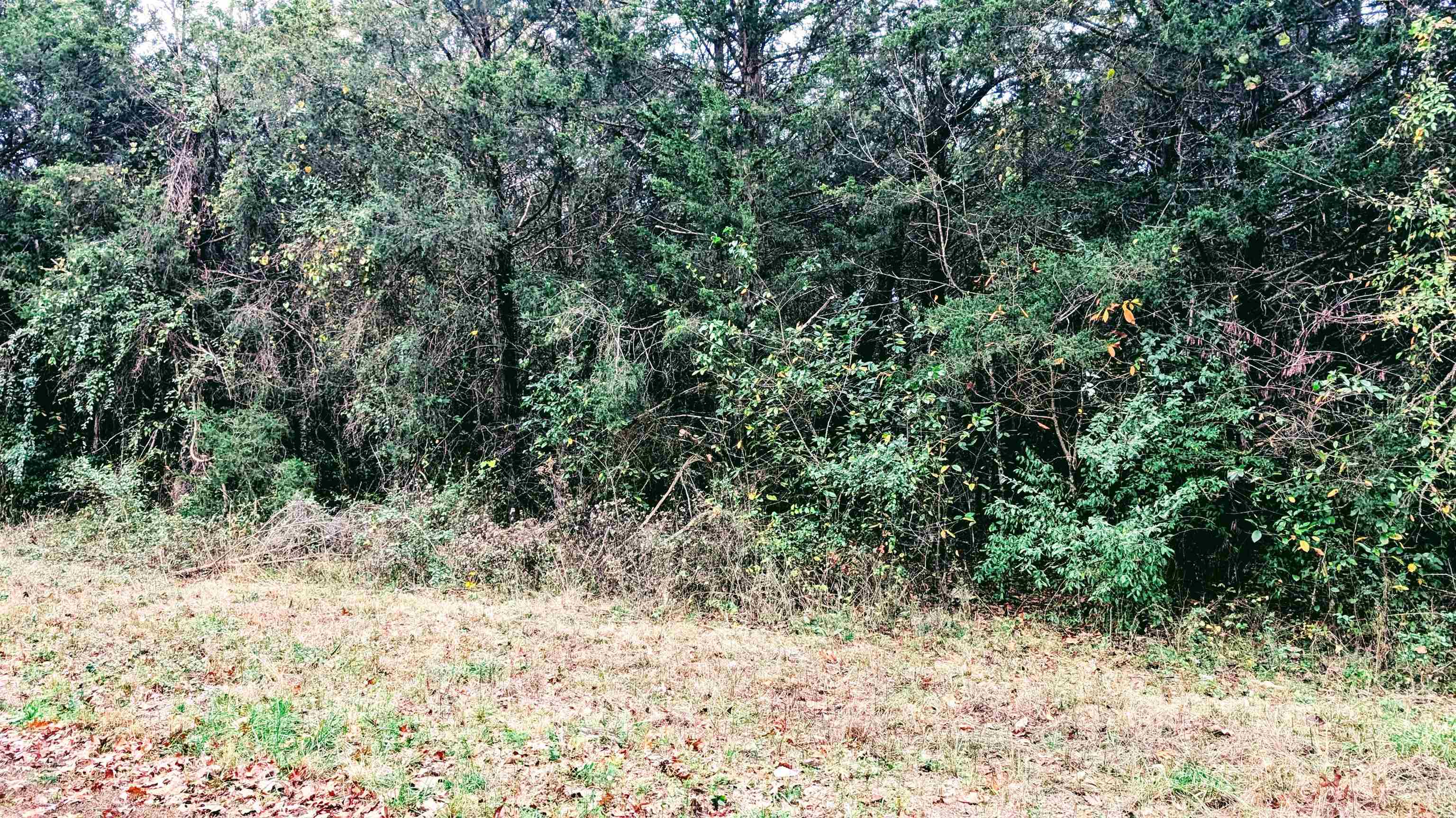 1805  Fox Point  Horseshoe Bend, AR