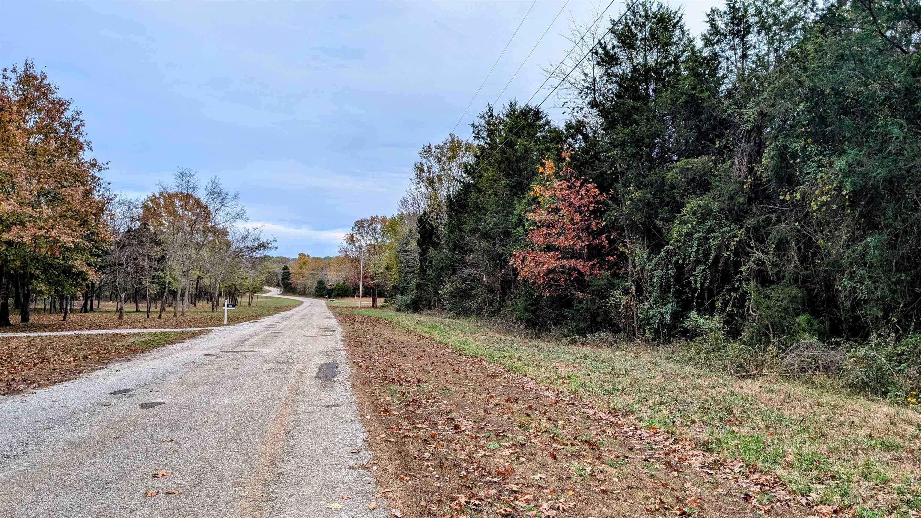 1805  Fox Point  Horseshoe Bend, AR