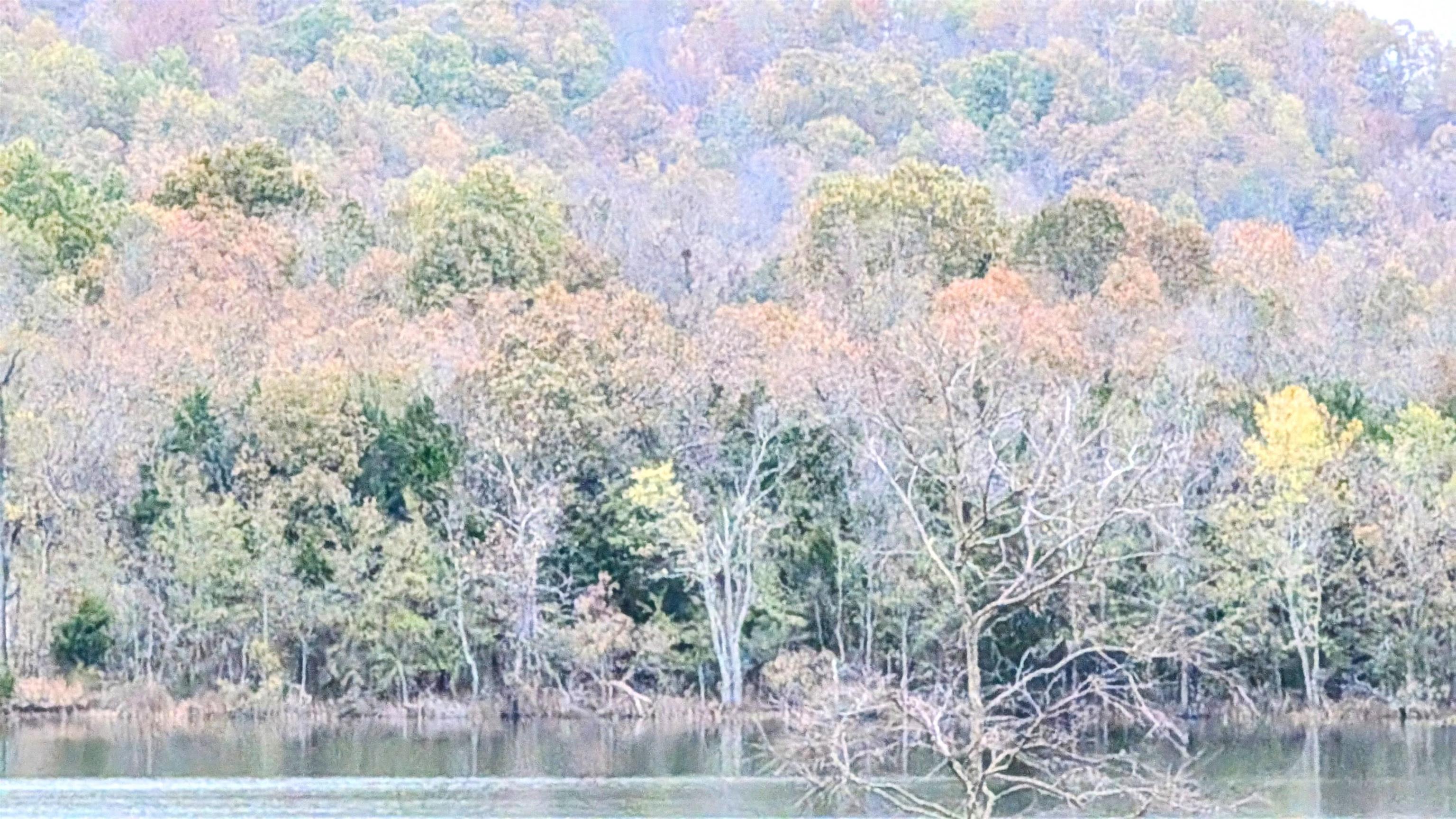 1805  Fox Point  Horseshoe Bend, AR