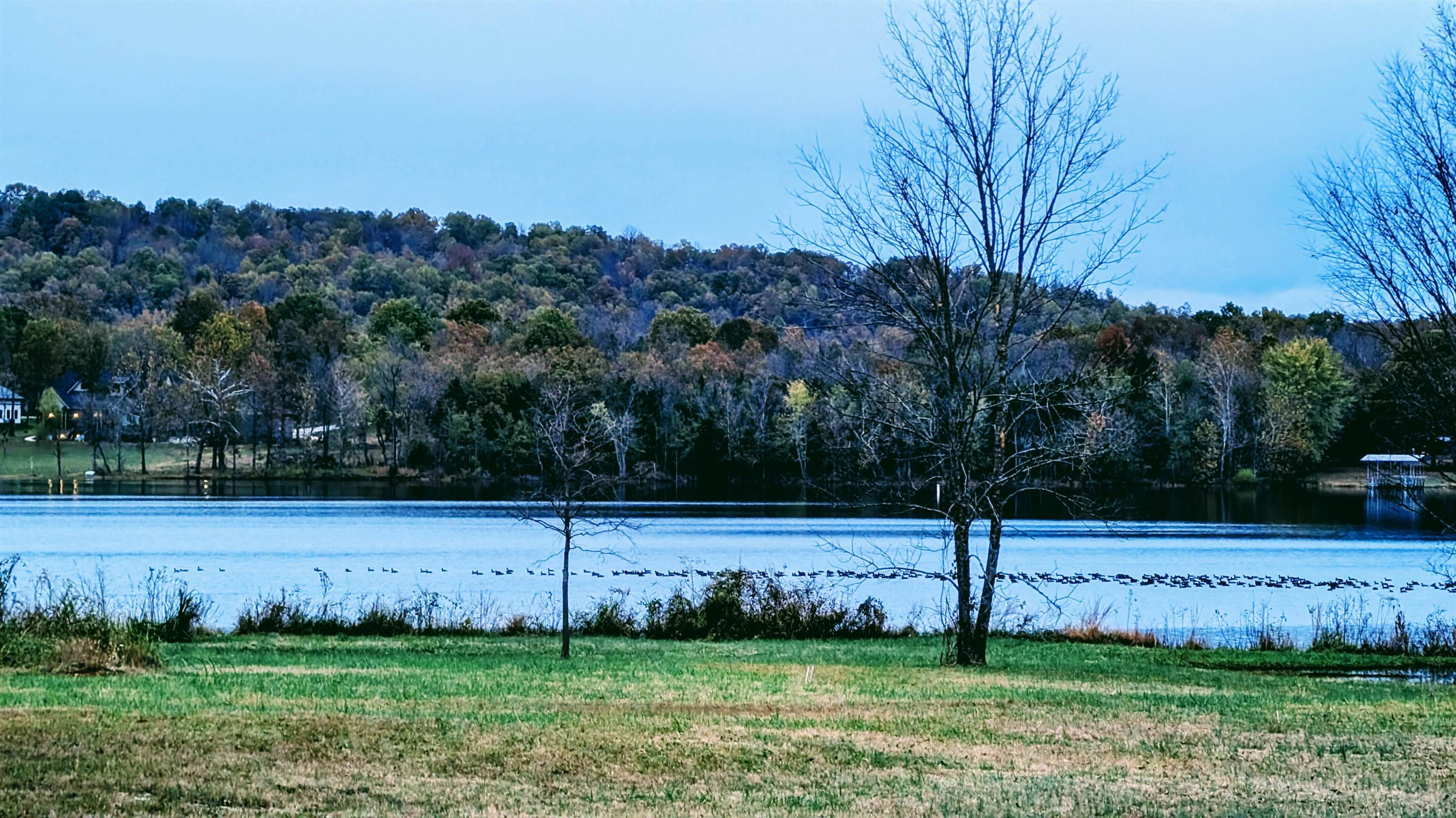 1805  Fox Point  Horseshoe Bend, AR