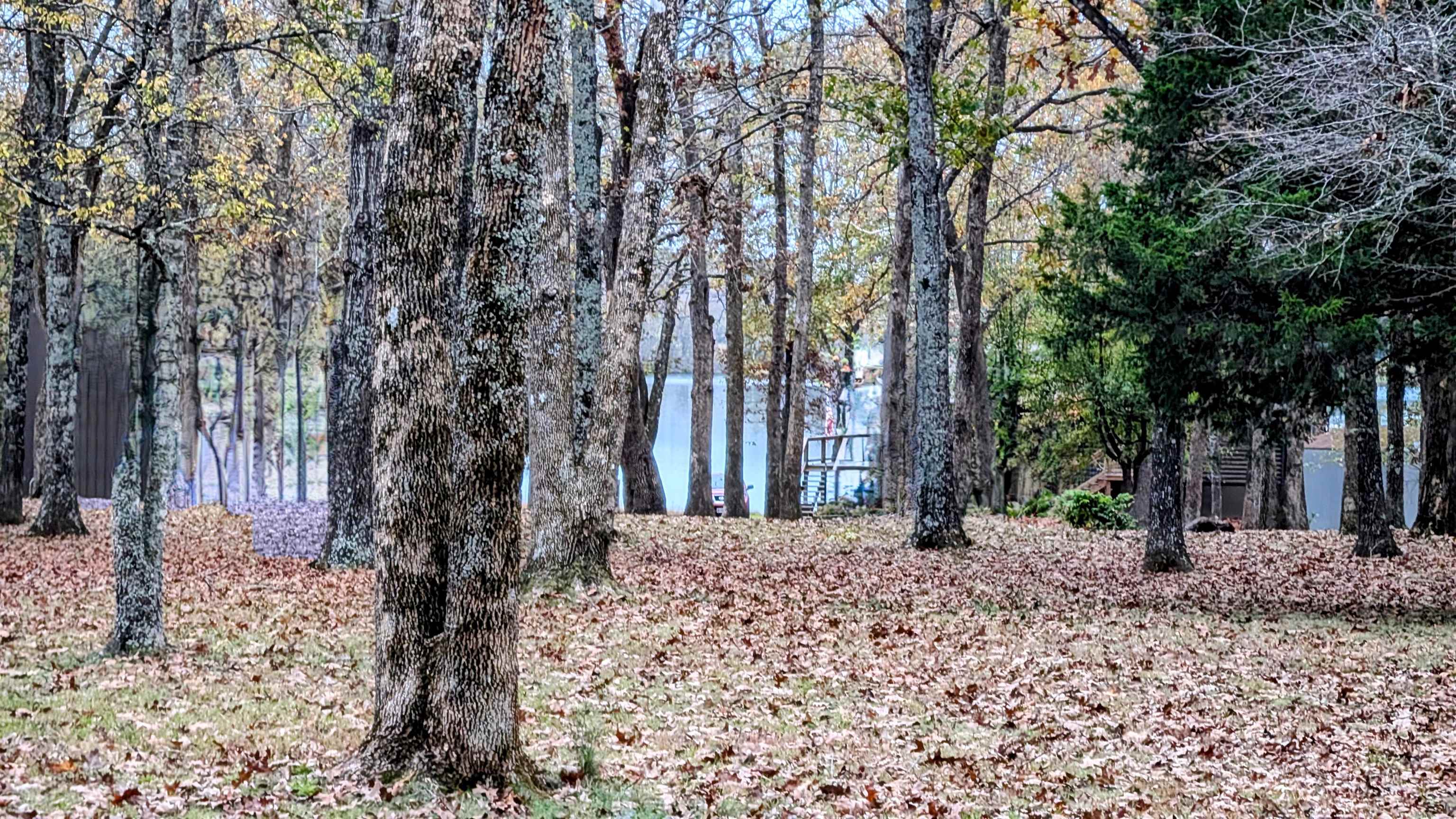 1805  Fox Point  Horseshoe Bend, AR